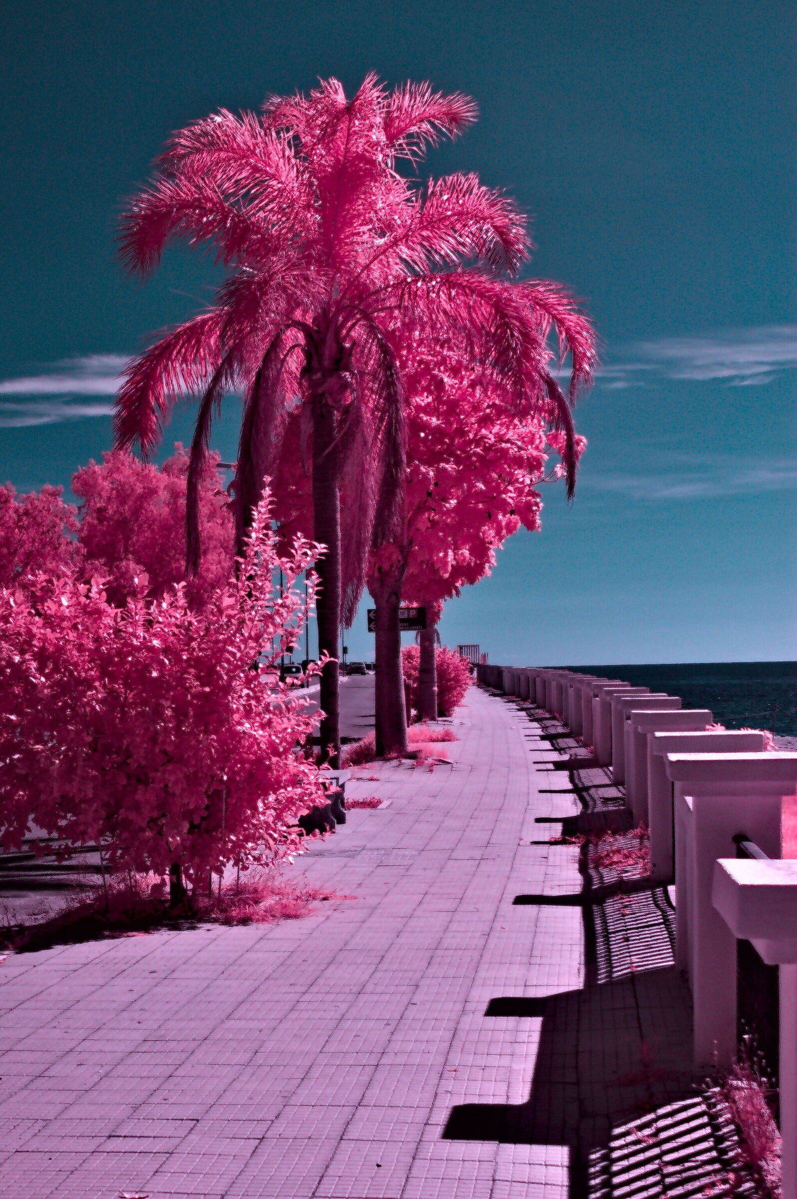 Infrared waterfront