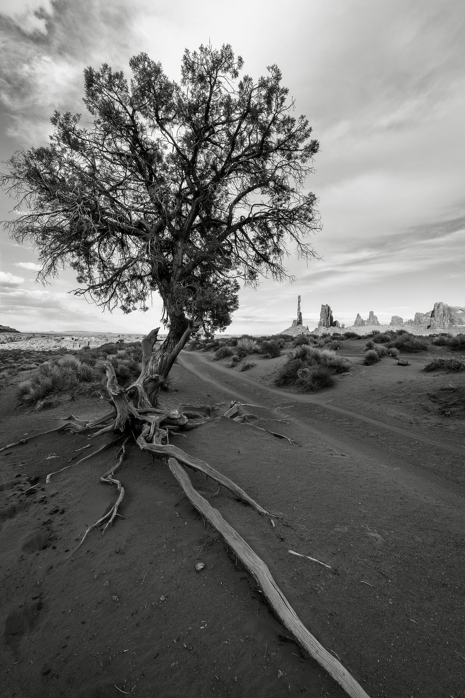 Monument Valley View three sister
