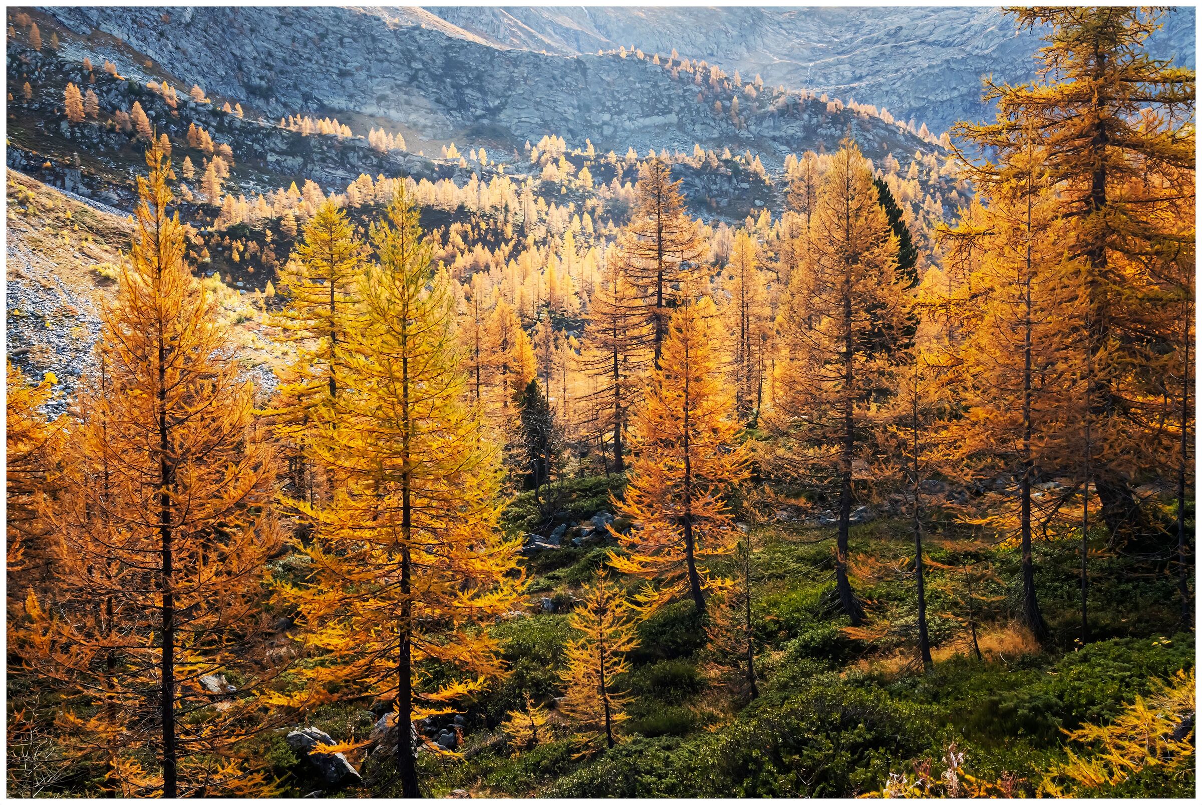 Valle d'Aosta Lago di Arpy