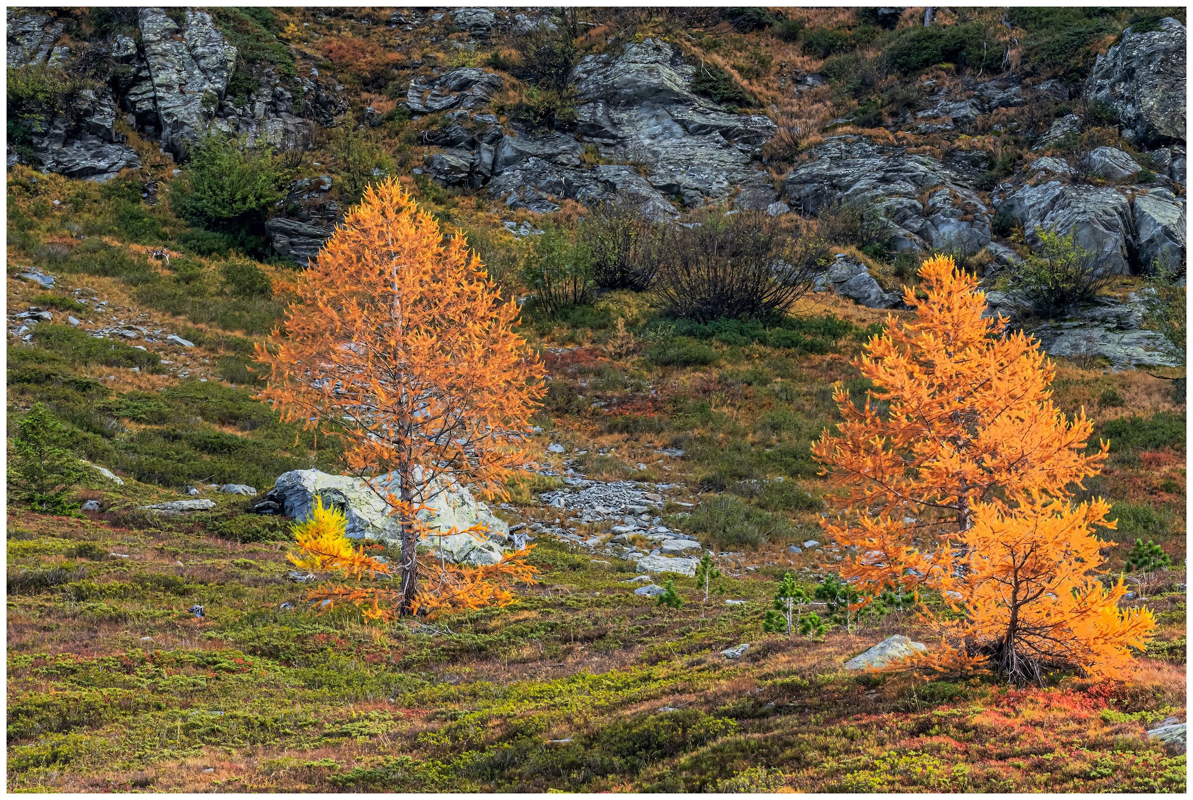 Valle d'Aosta Lago d'arpy