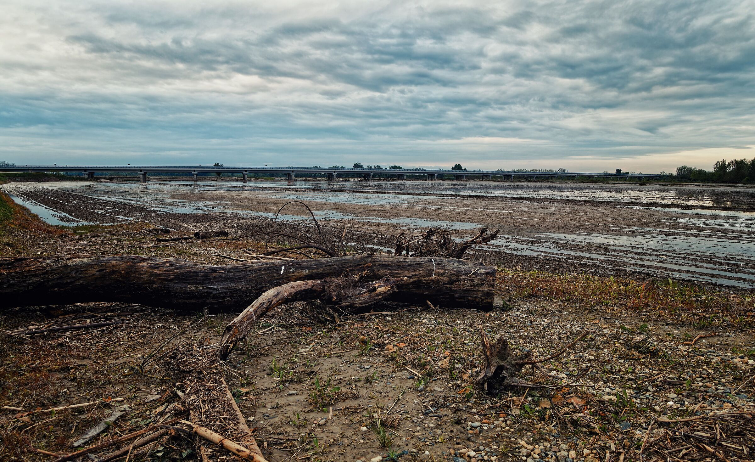 After the flood