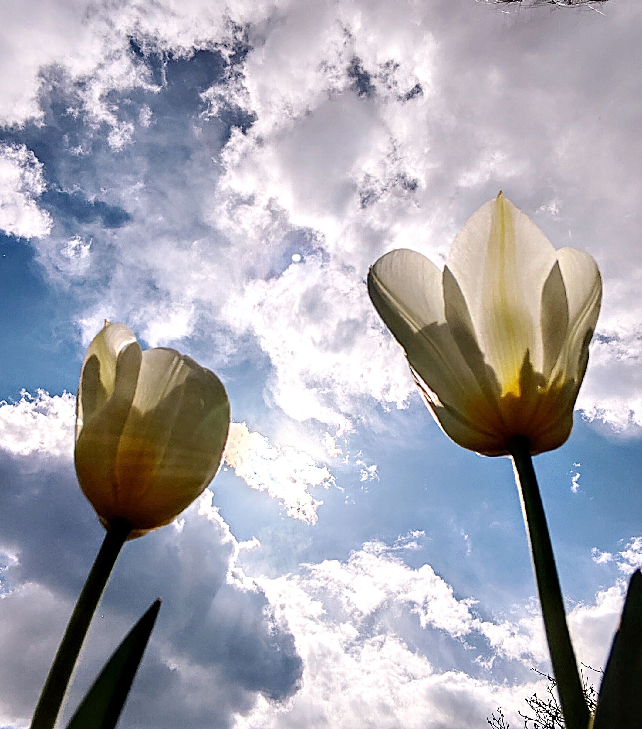 From bottom to top ... 2 ...