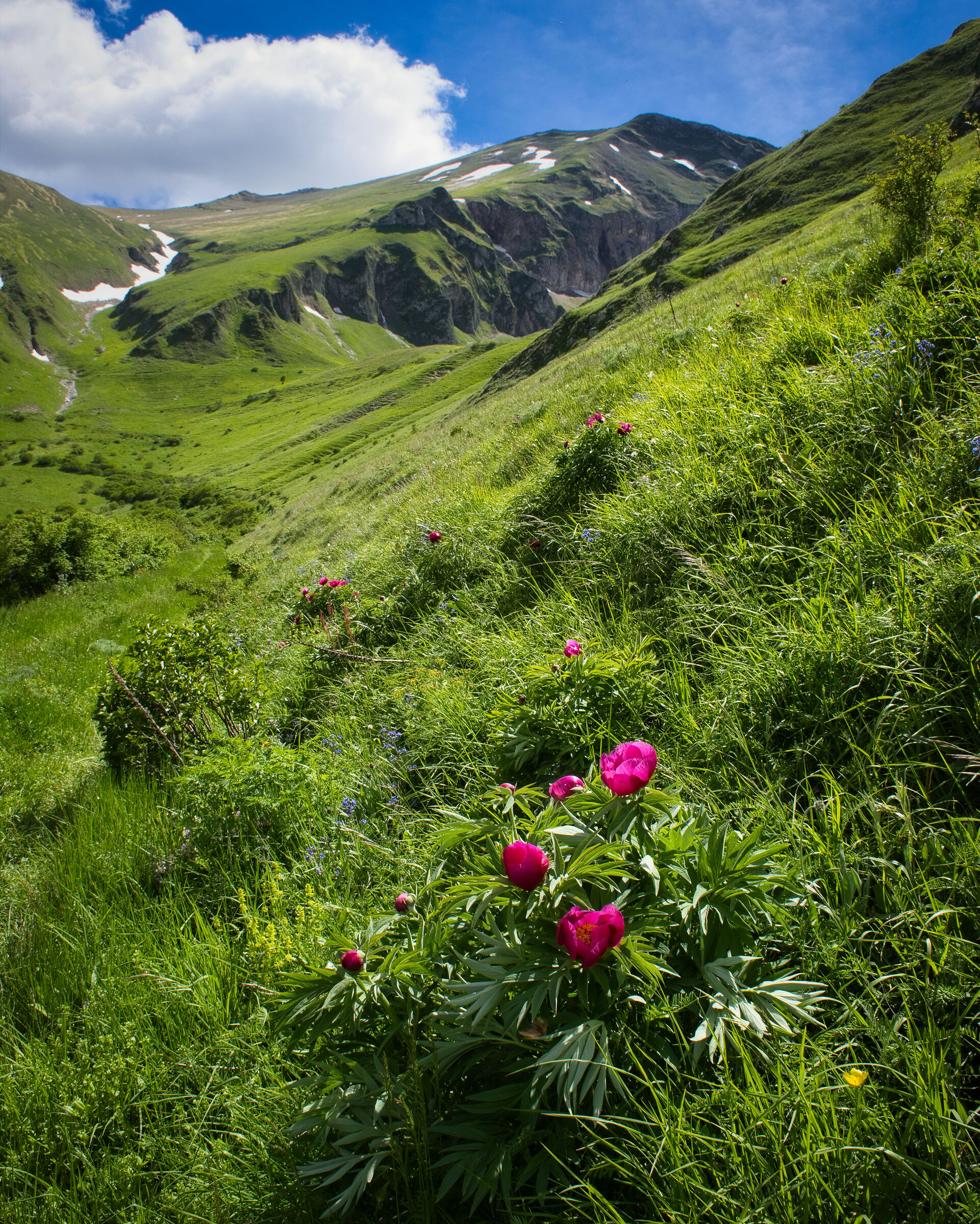 Sibillini - Val d'Ambro e Pizzo Berro - Montefortino
