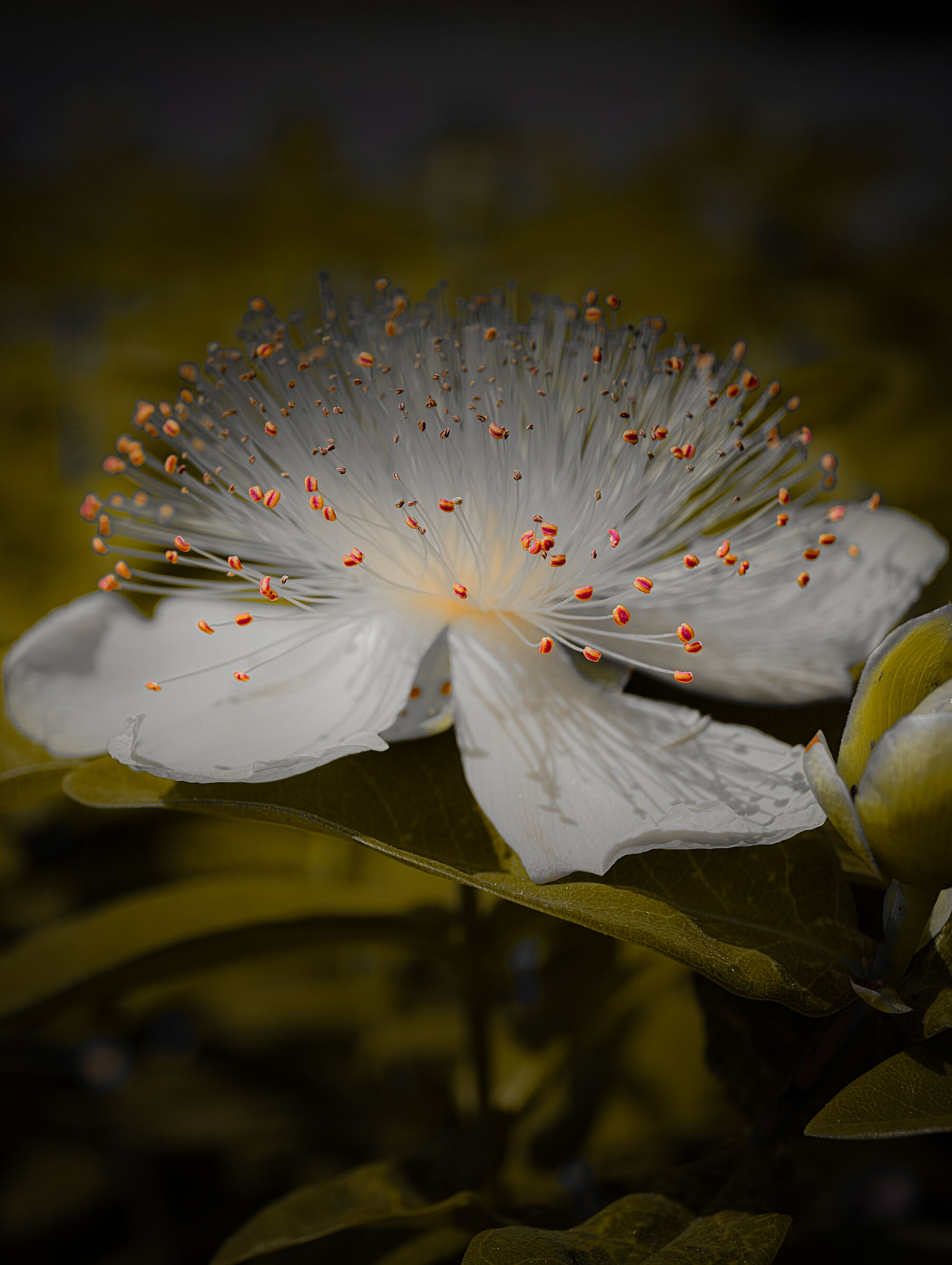 Untitled Photo