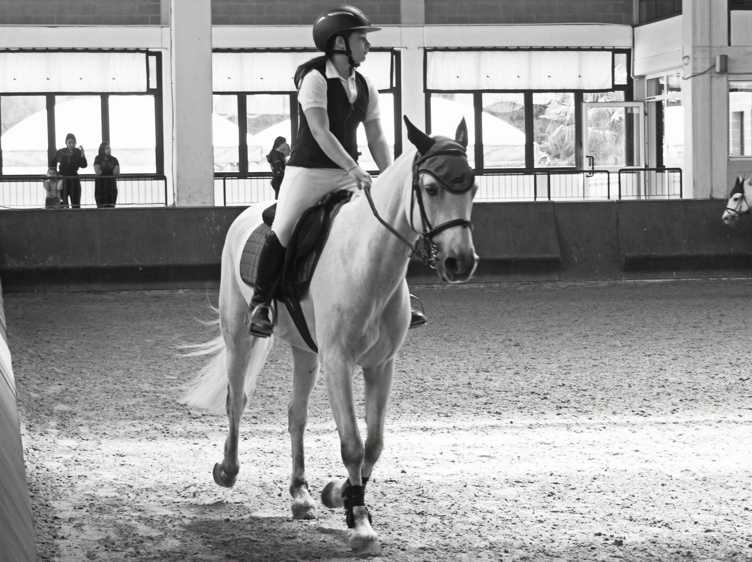 Riding on a wonderful horse (and loving it)!