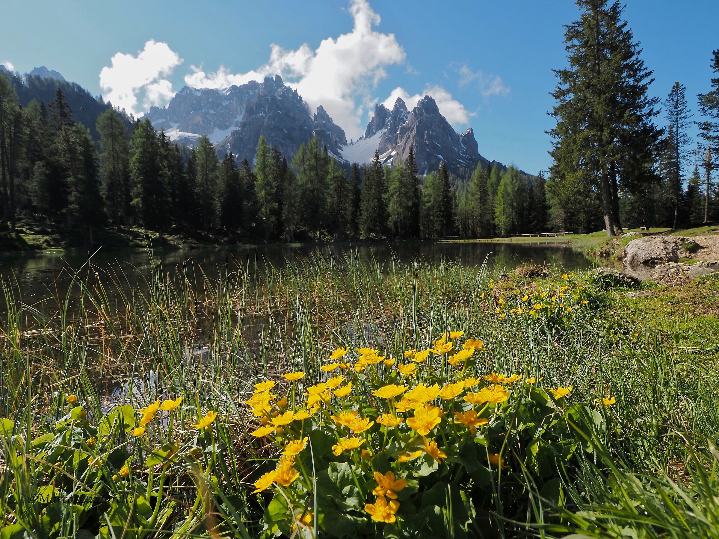 Lago Antorno (cartolina sui Cadini)