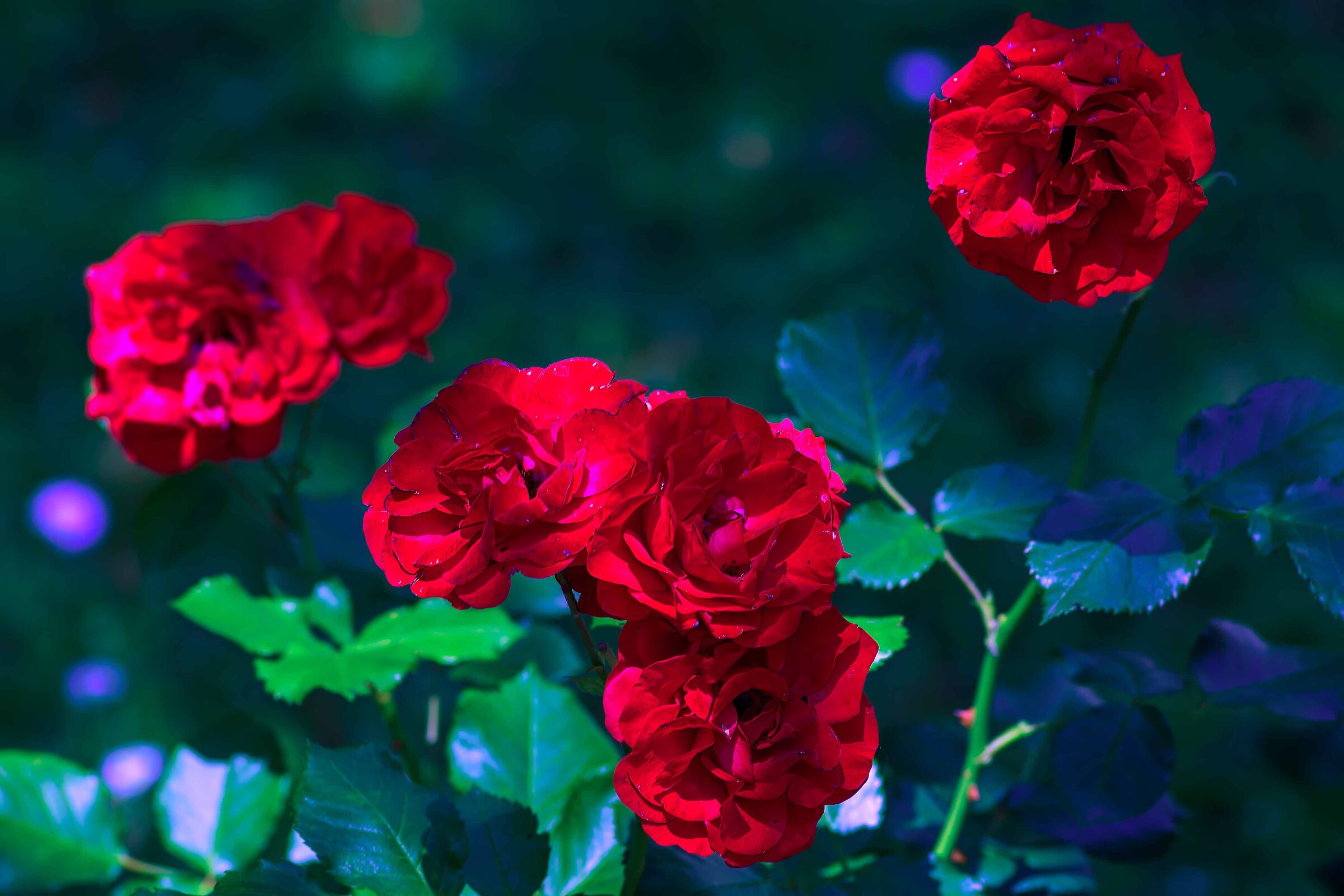 Gruppo di famiglia in un esterno