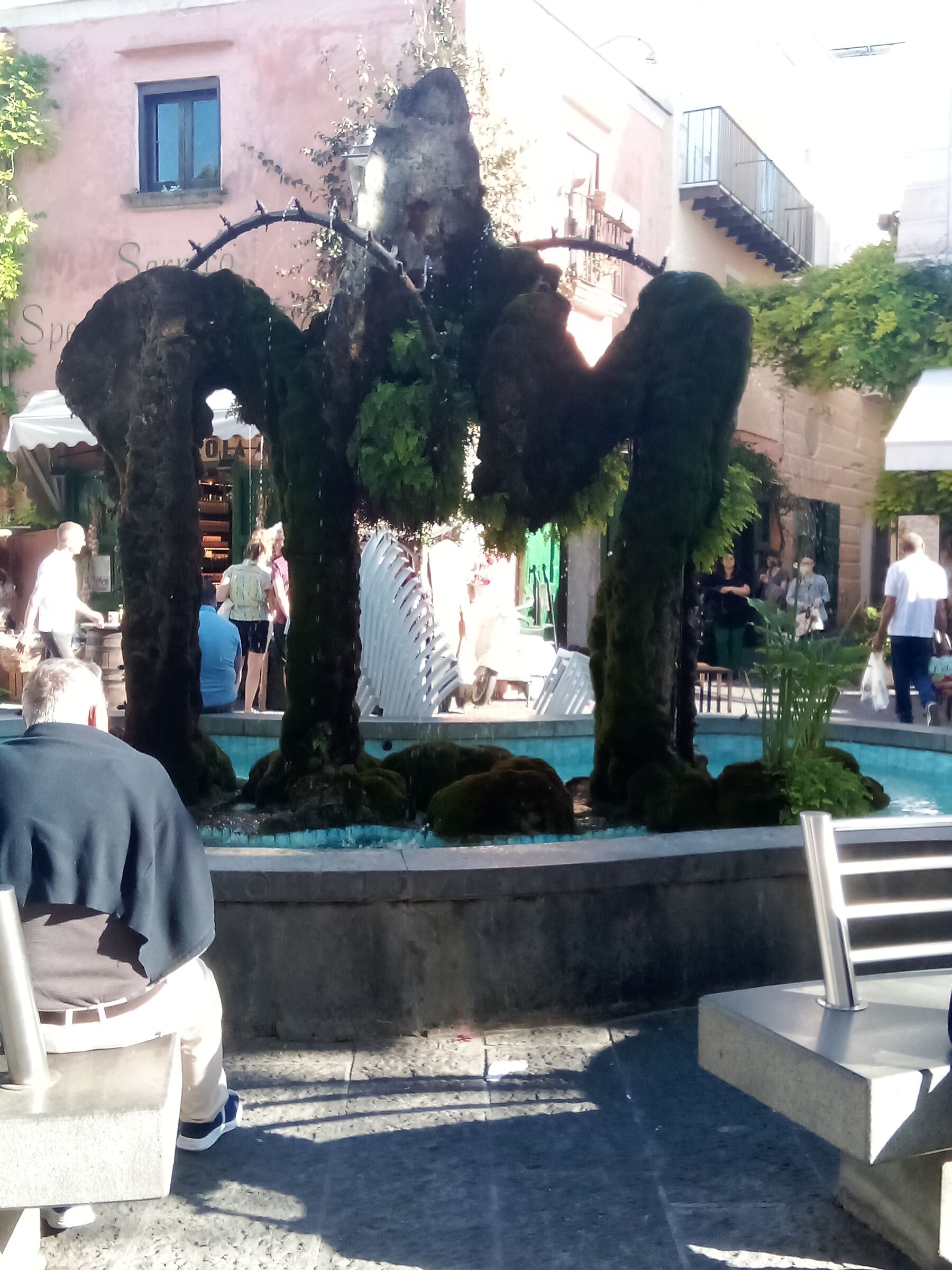 Forian balconies in bloom