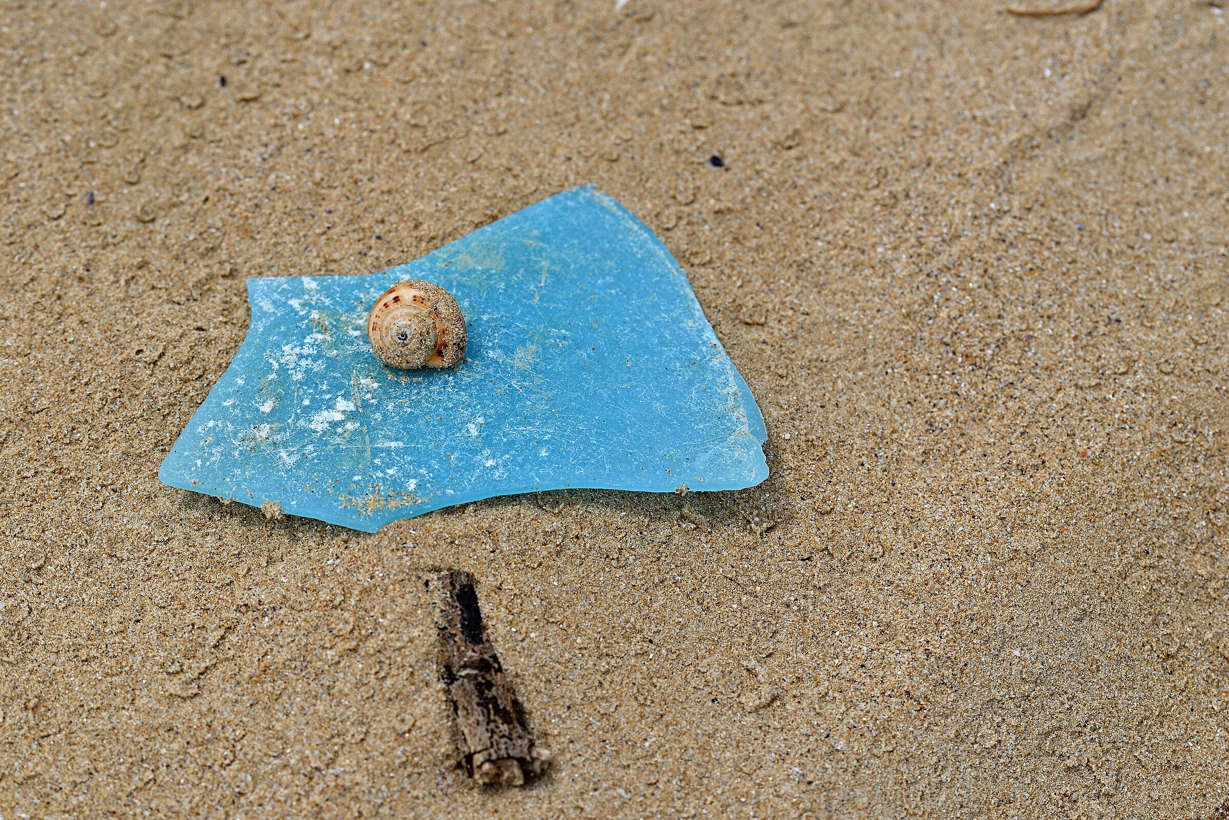Castaway
