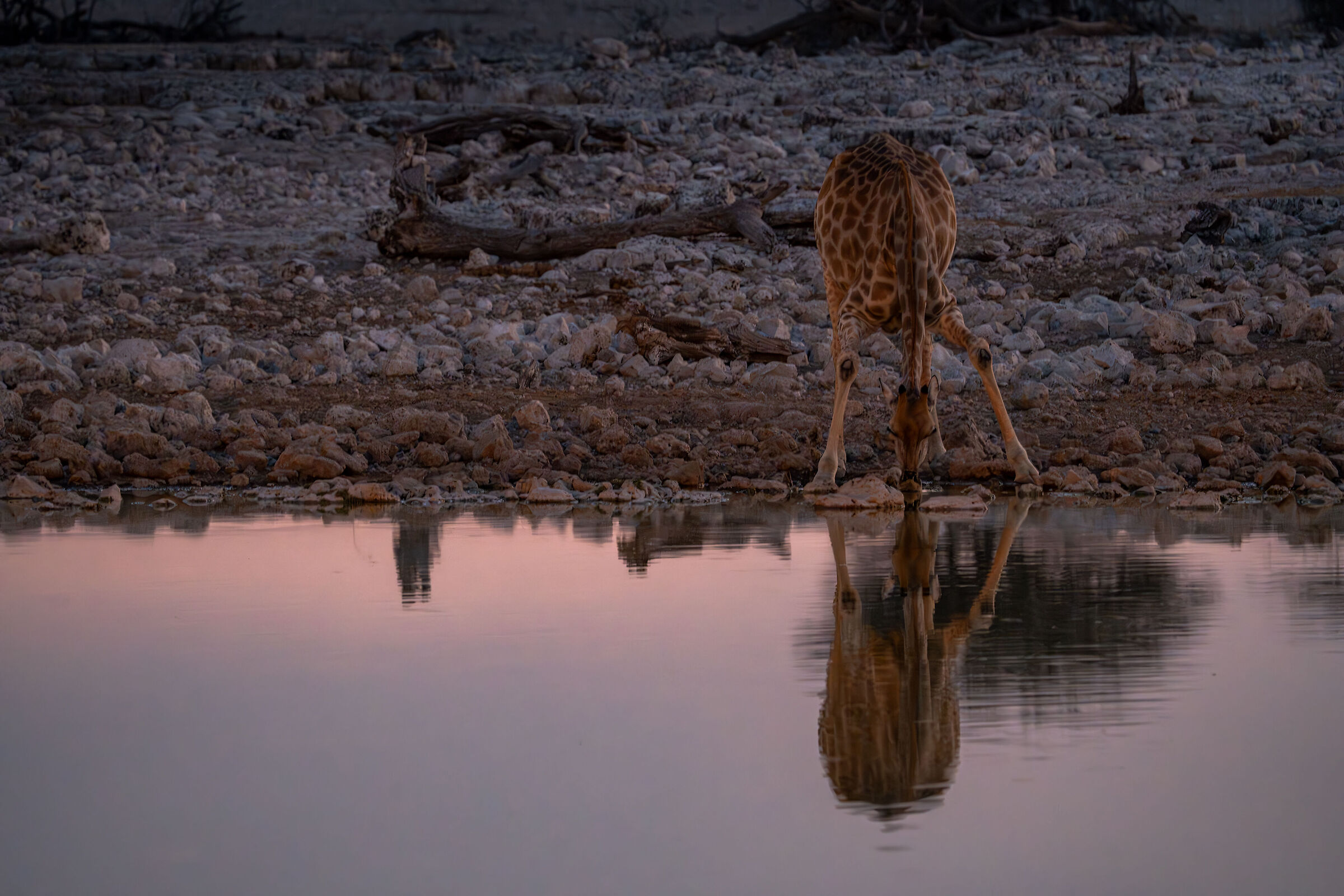 Acqua fresca al tramonto