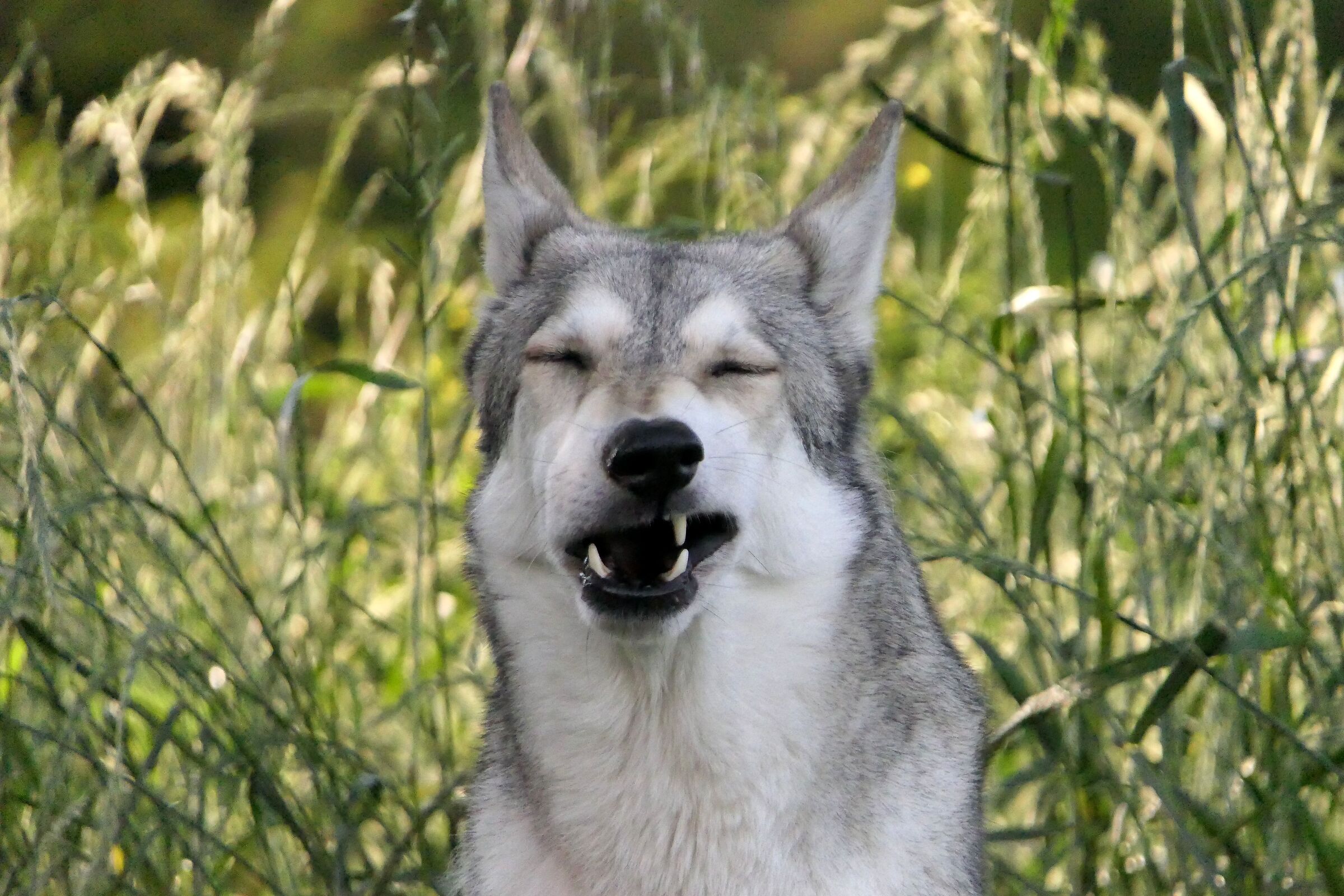 what's there to laugh about.......
