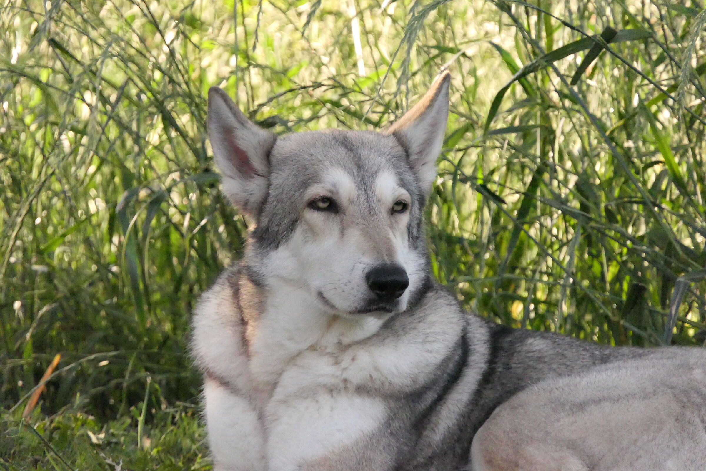 Beauty