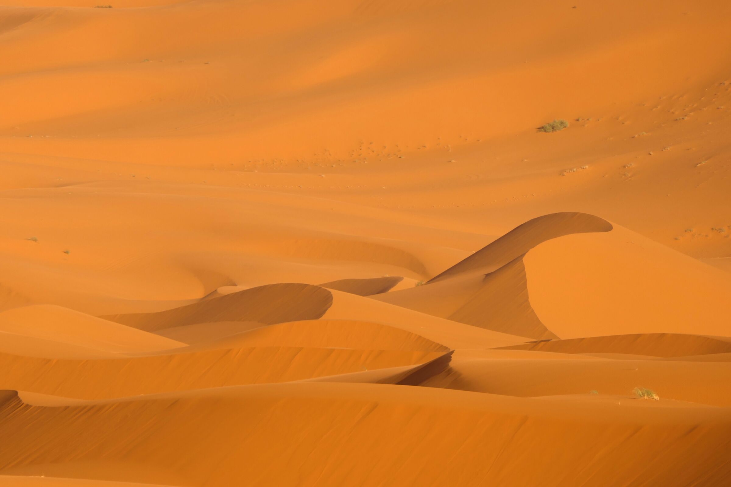 Marocco