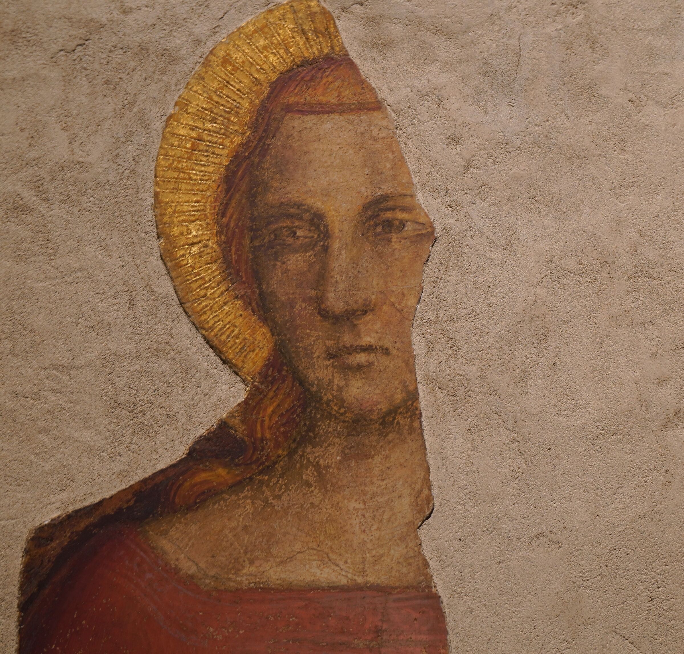 Giottino - Head of a Young Saint (1350-1355)