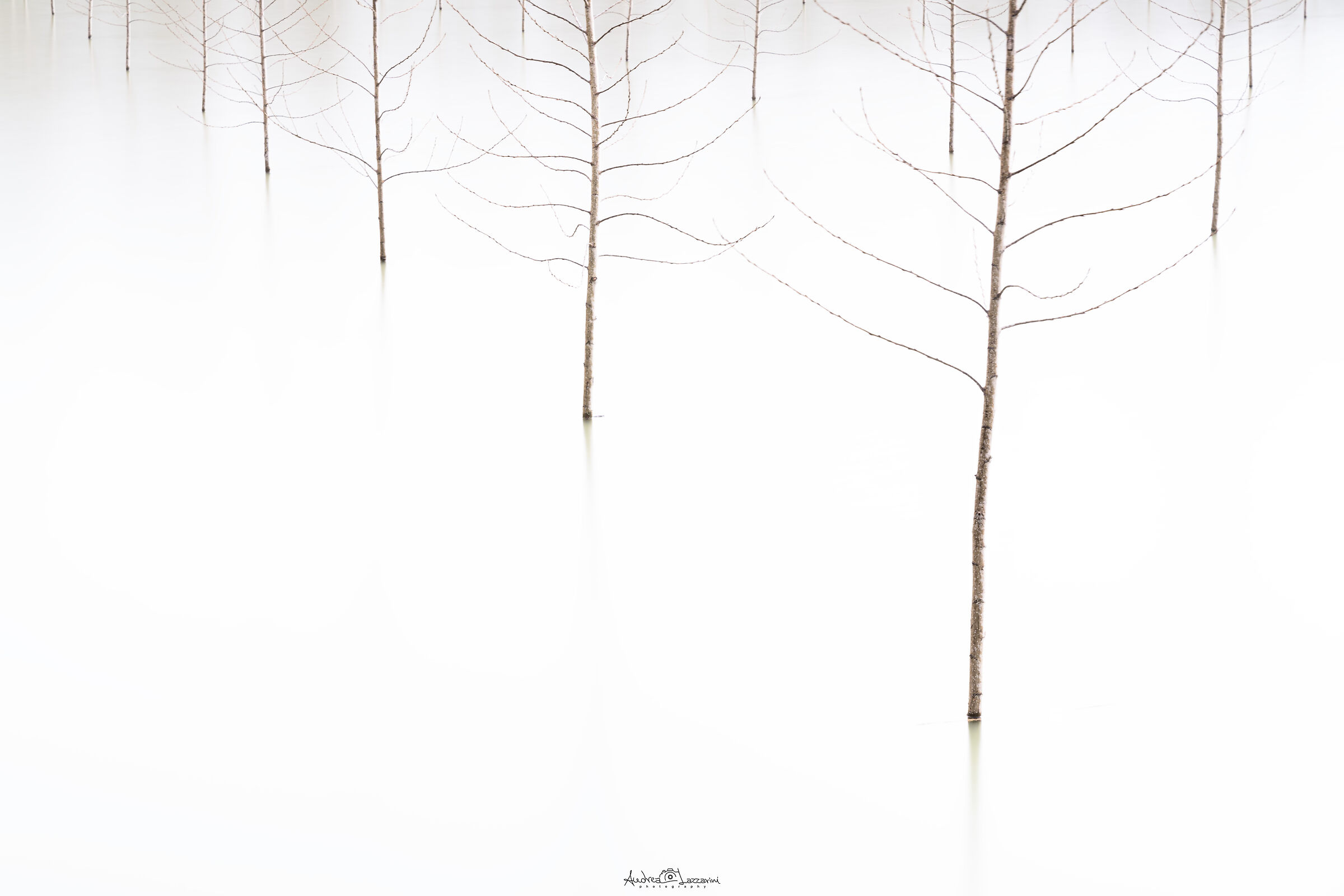 minimalism