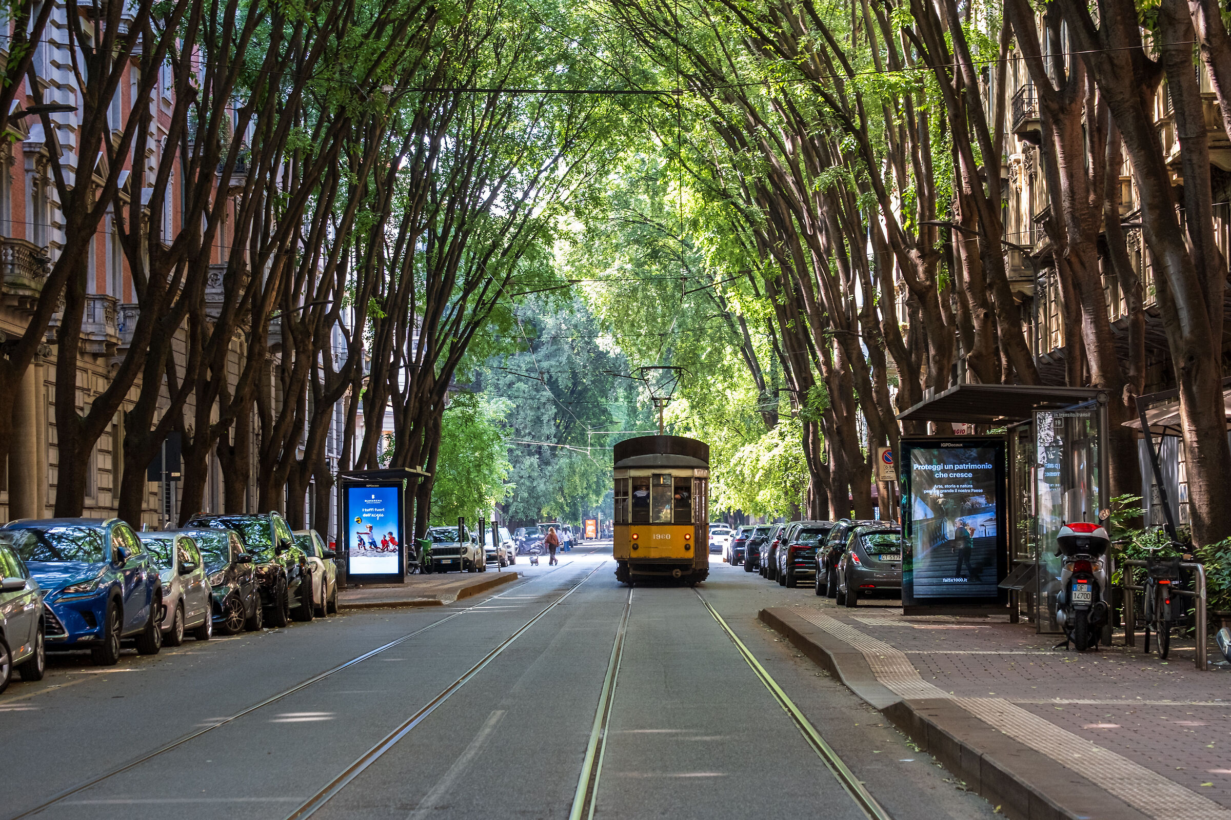 Milan Tram