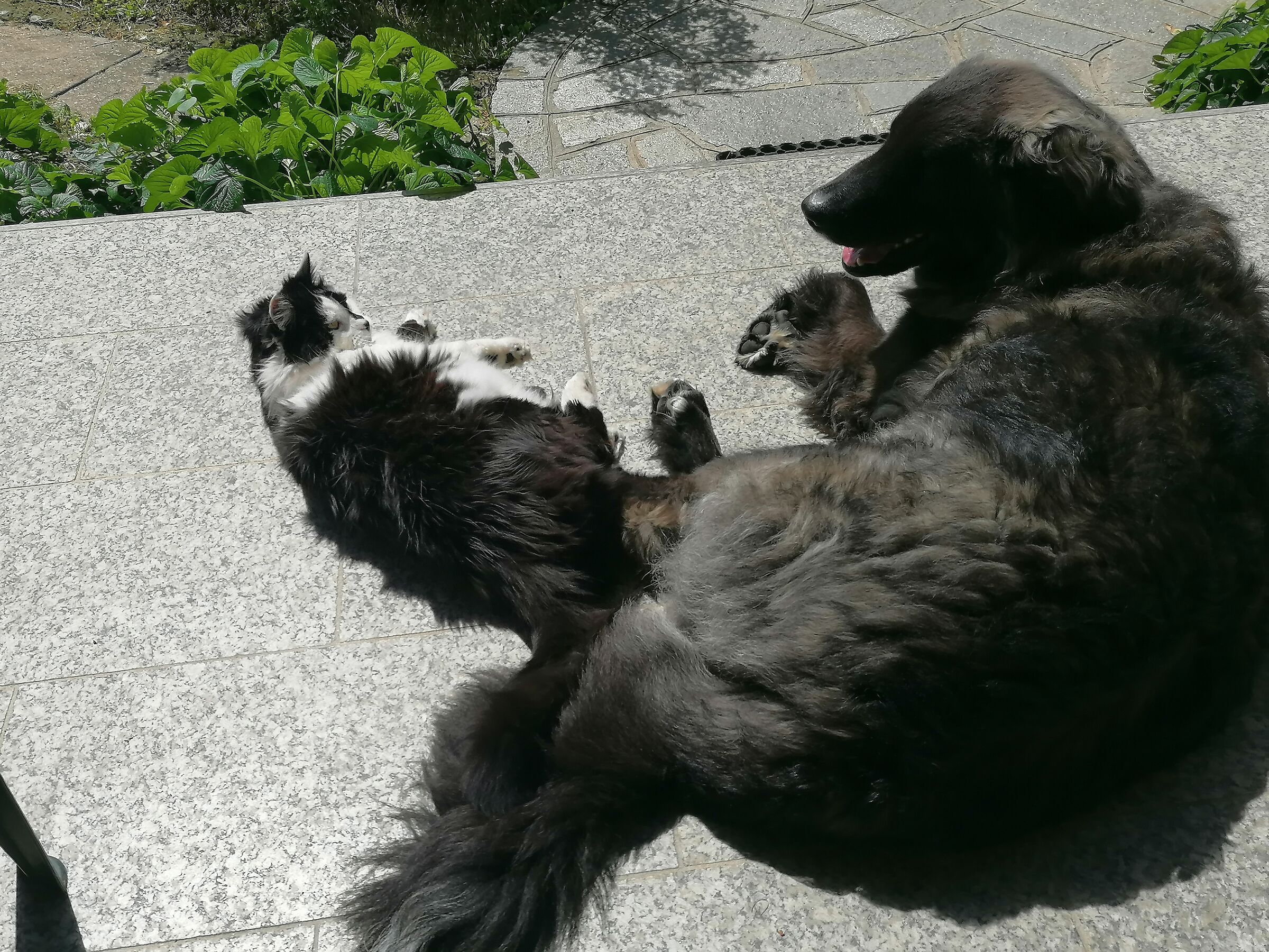 4 chiacchiere in relax