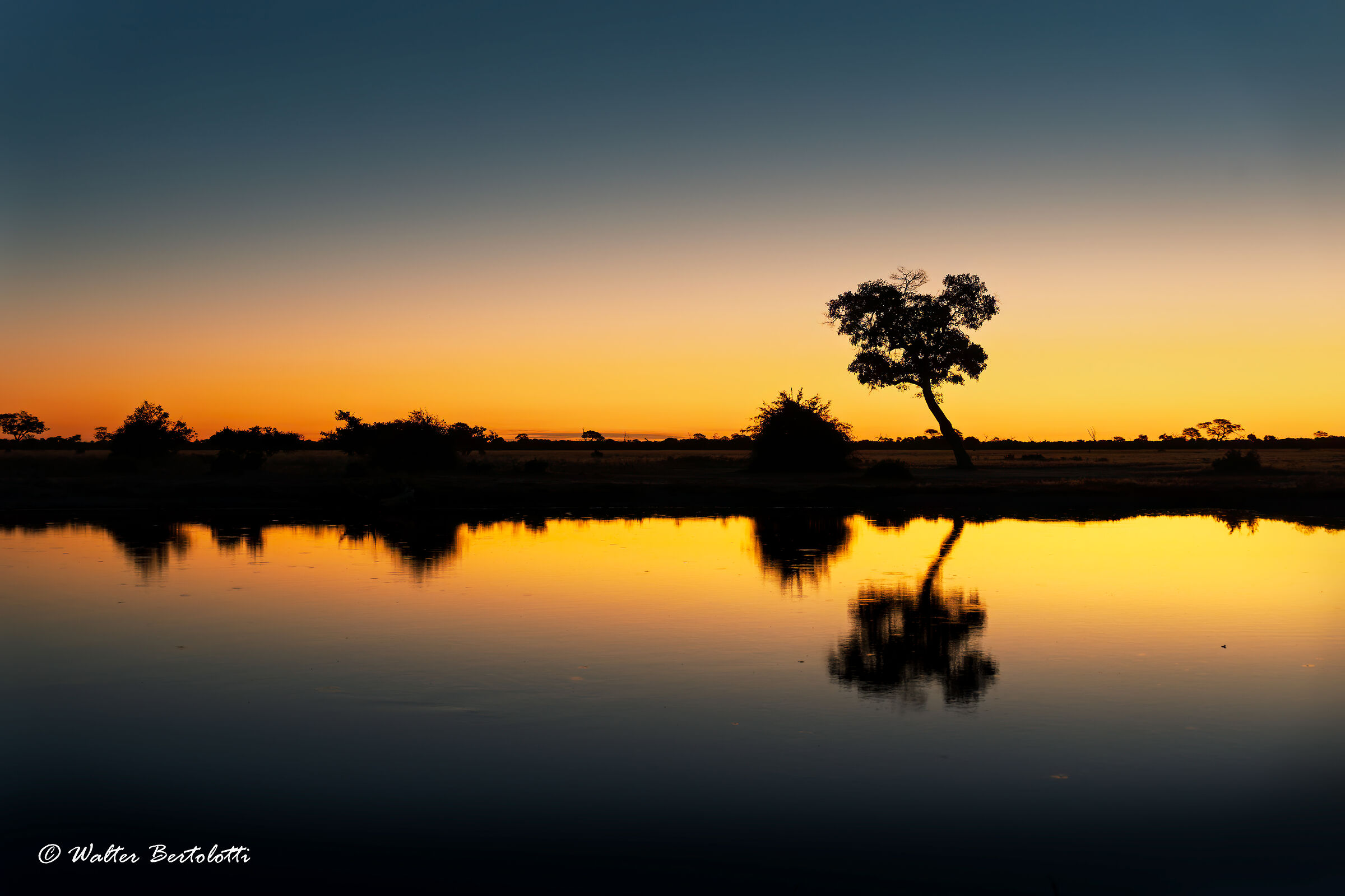 evening falls on the Chobe