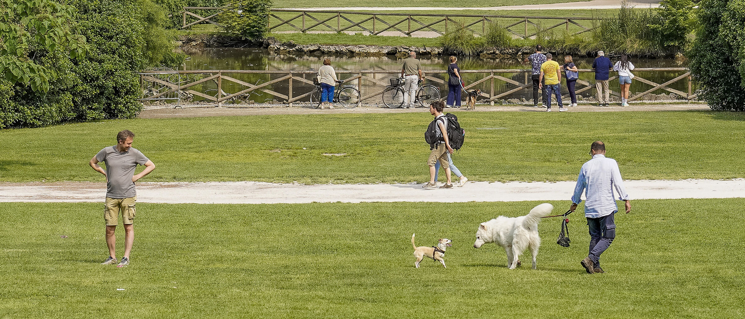 Parco Sempione - Domenica 1° giugno 2025, 10:18