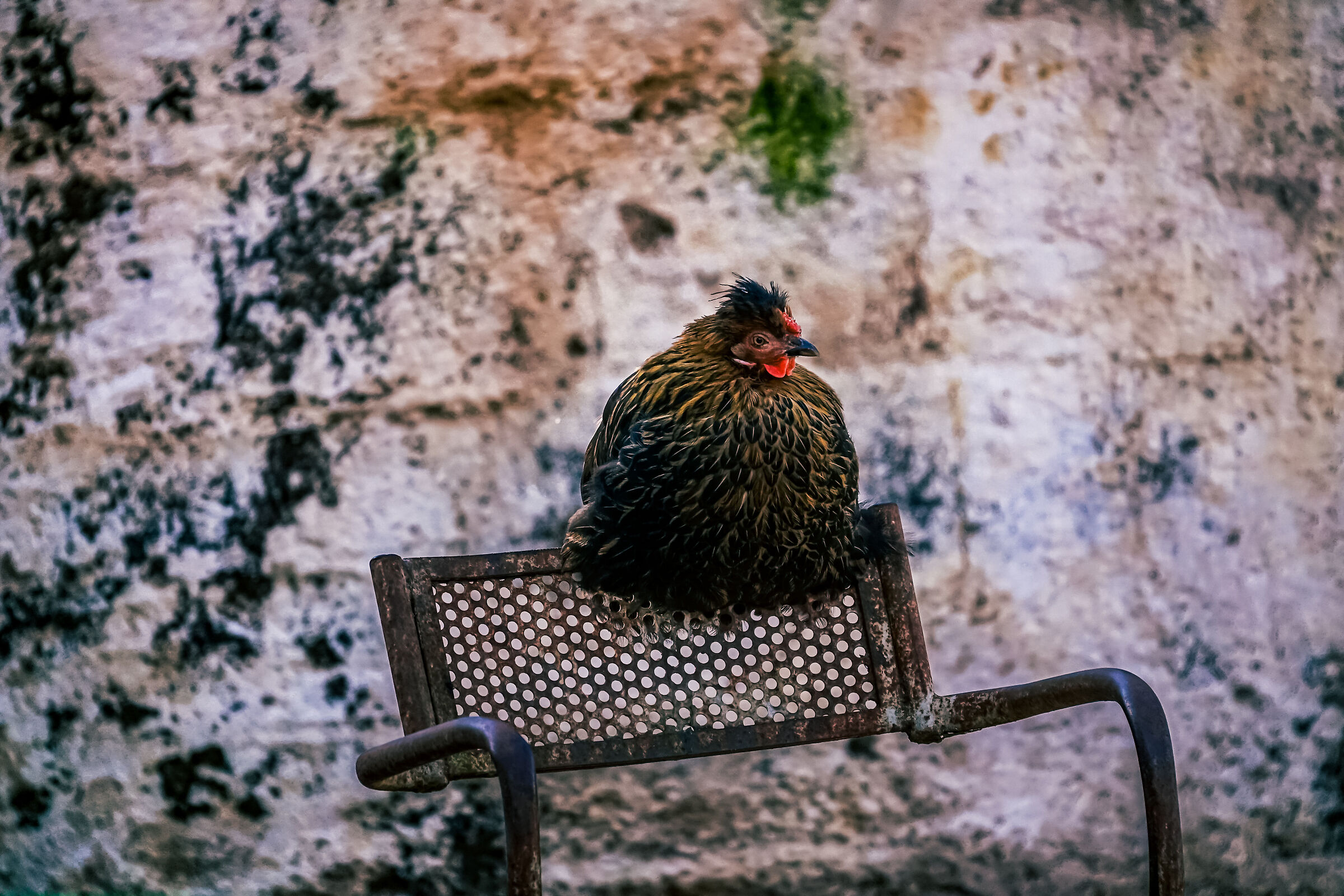 Sul trono