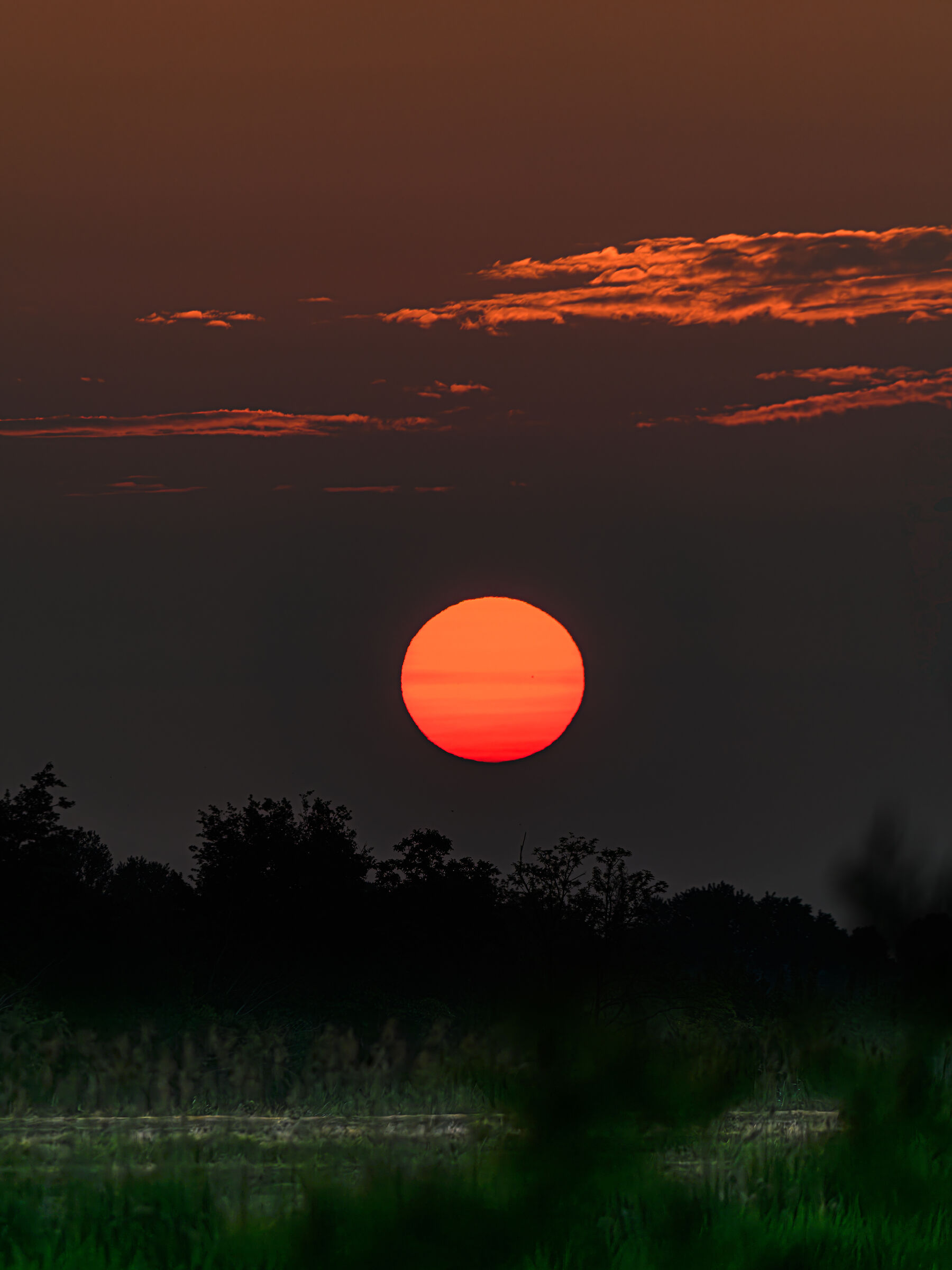 Every morning behind the hut