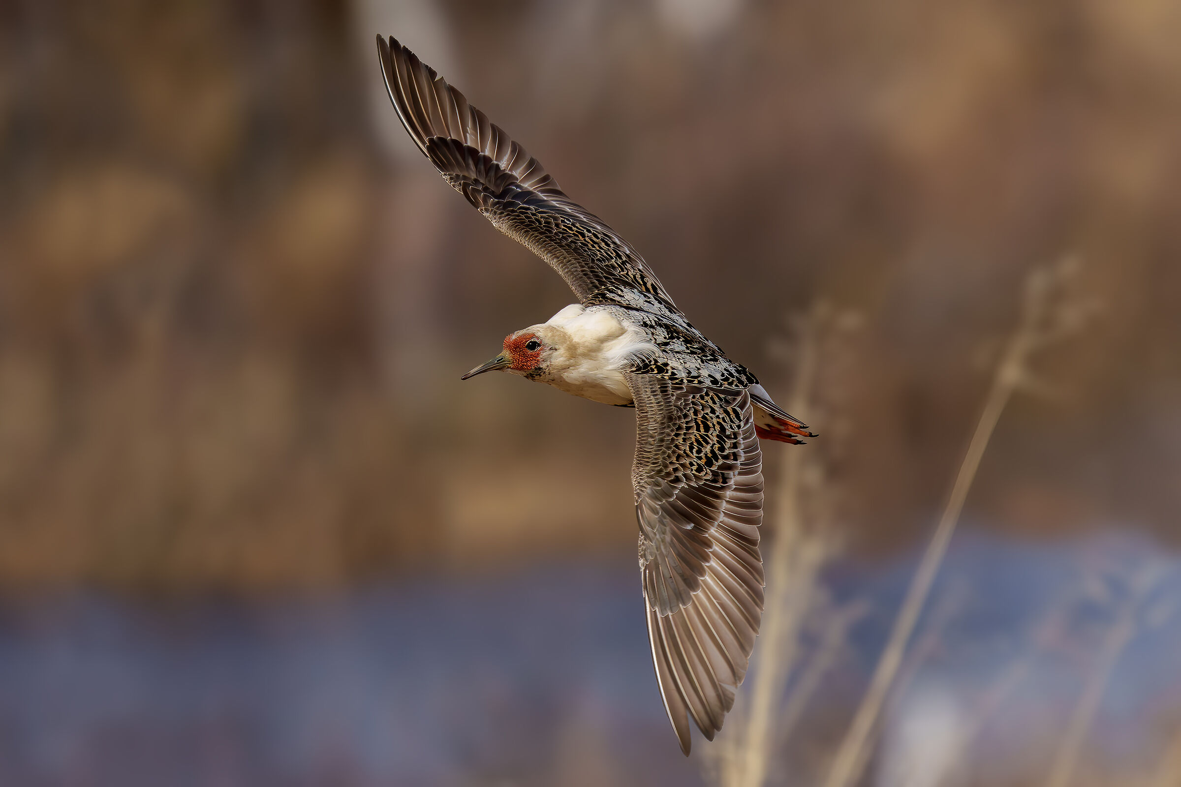 Airborne Fighter