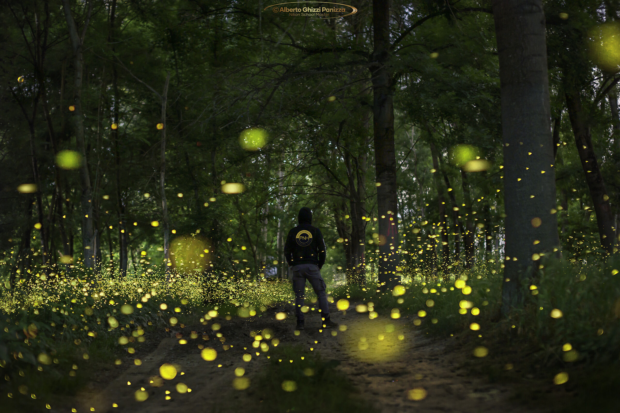 E anche quest'anno lo spettacolo delle lucciole