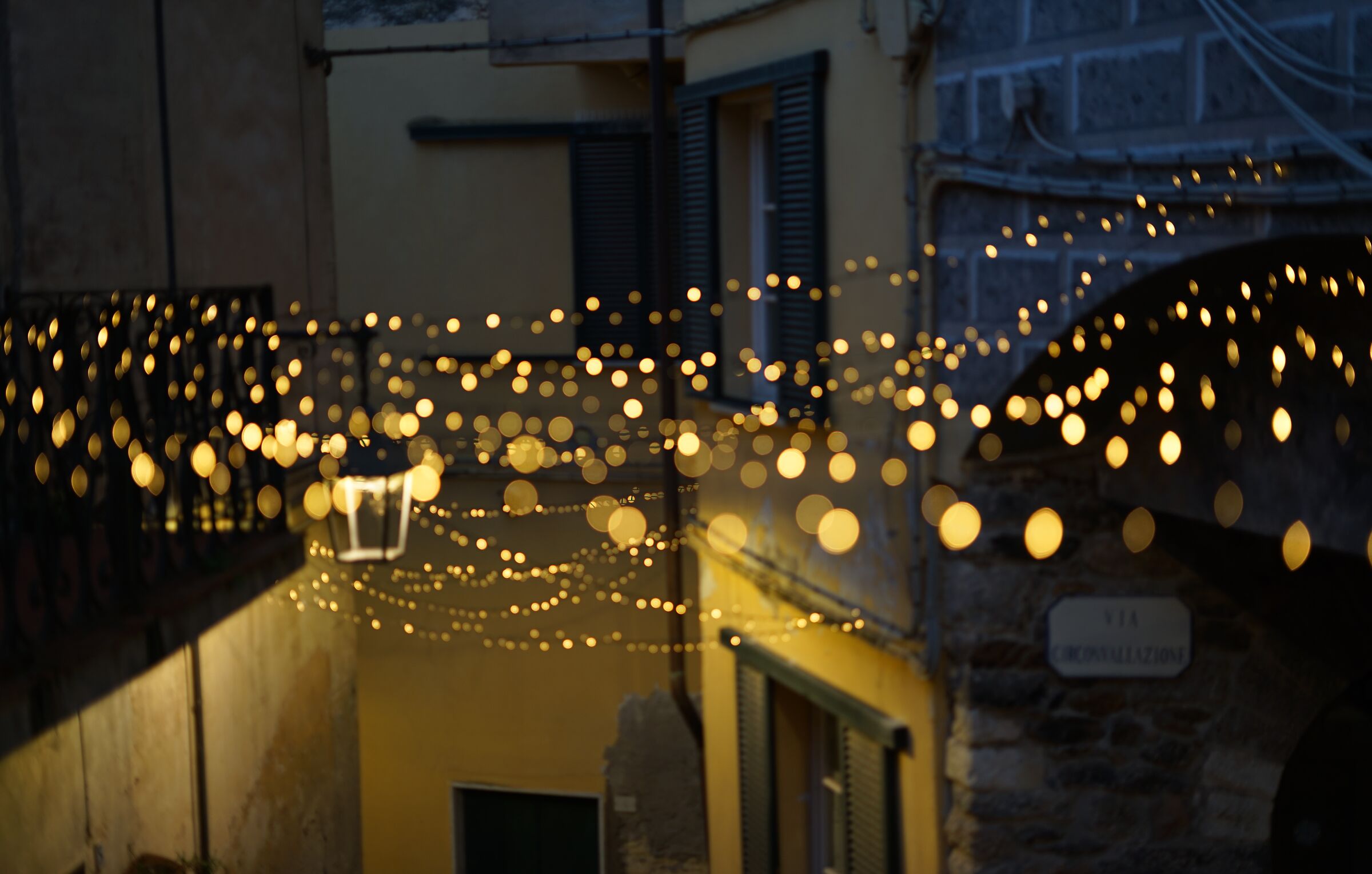 Christmas Lights 1
