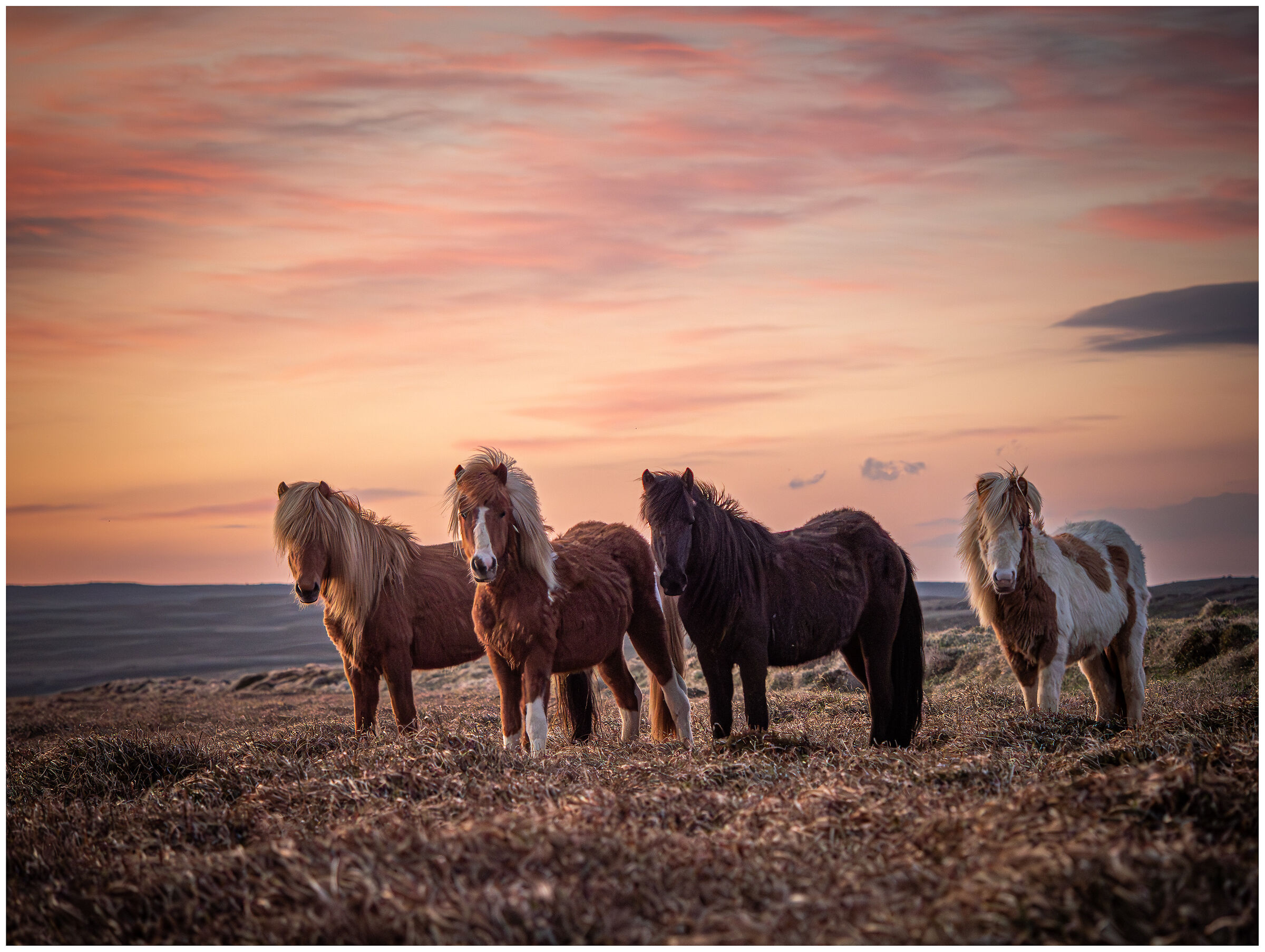 incontri " notturni "