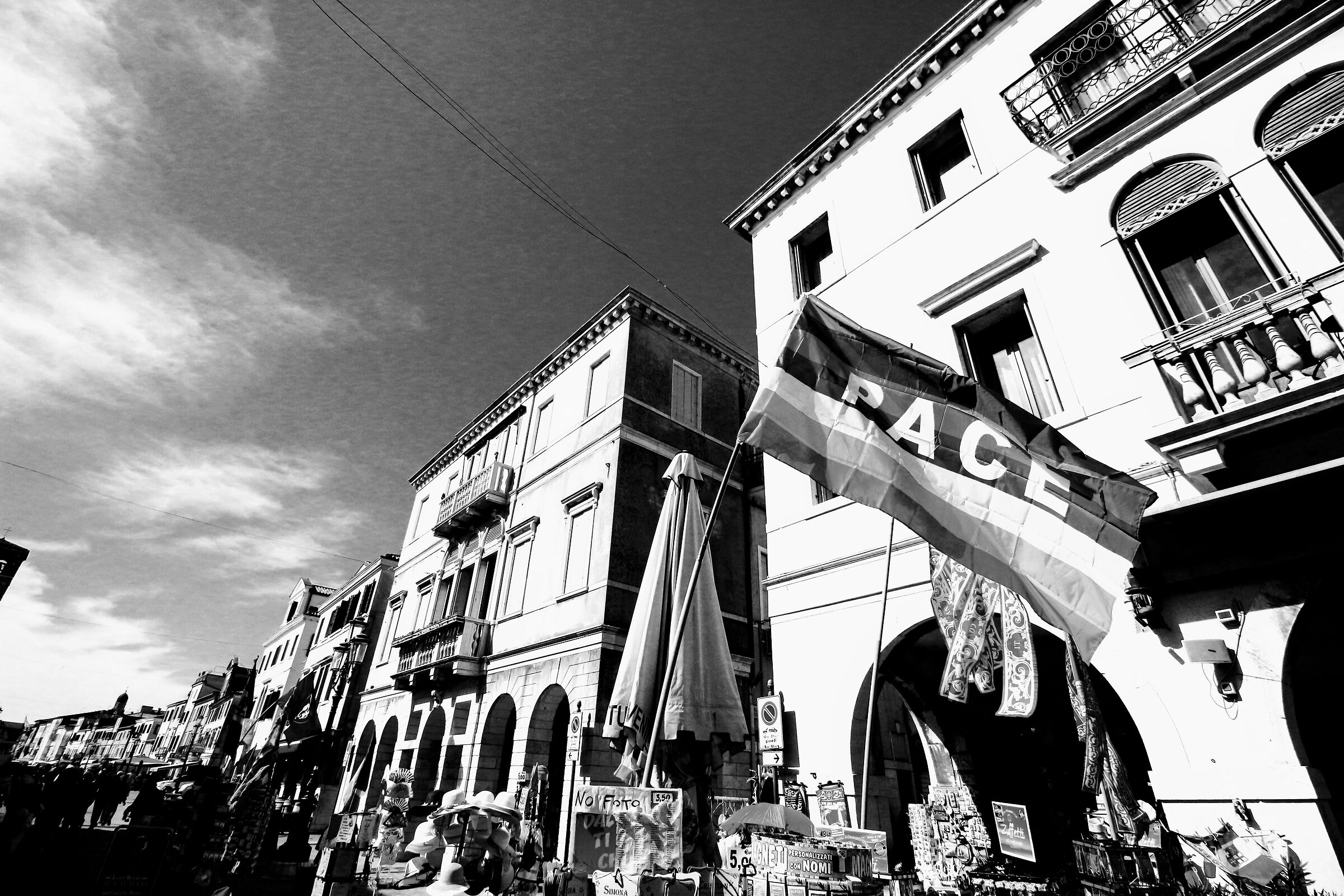 chioggia