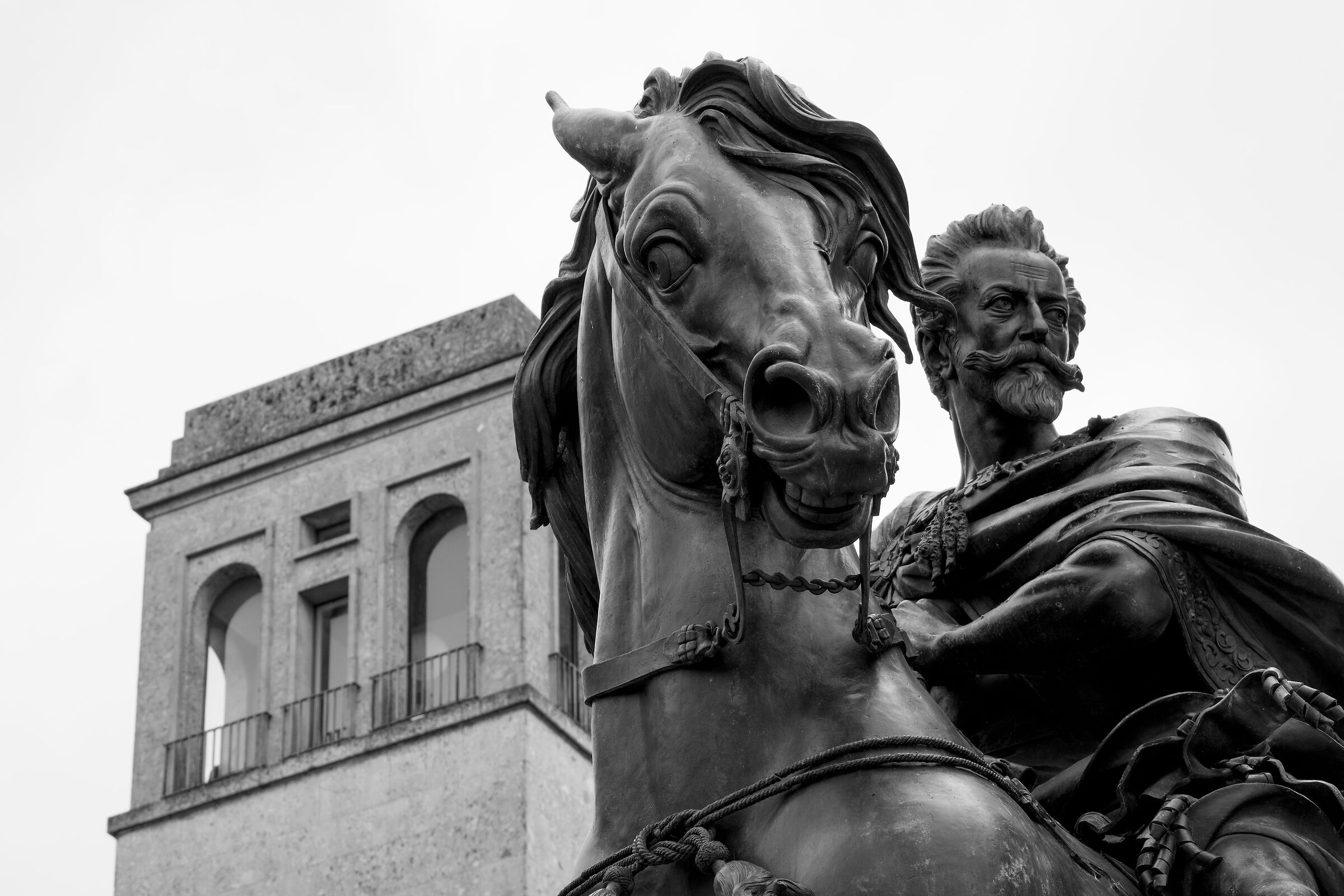 Piazza Cavalli, Piacenza