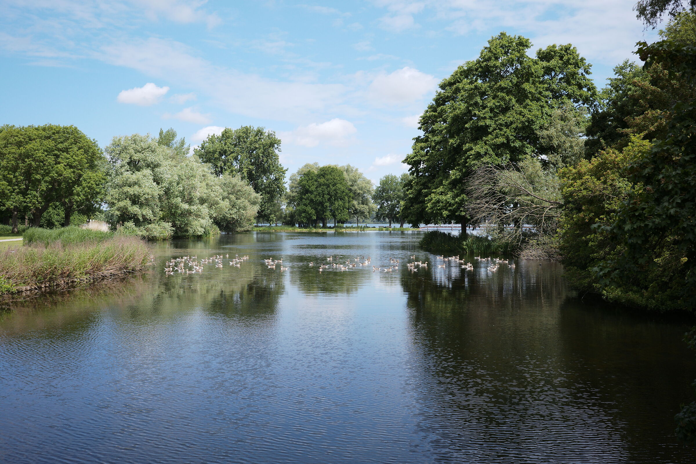 Kralingse Plas, the lake in the city
