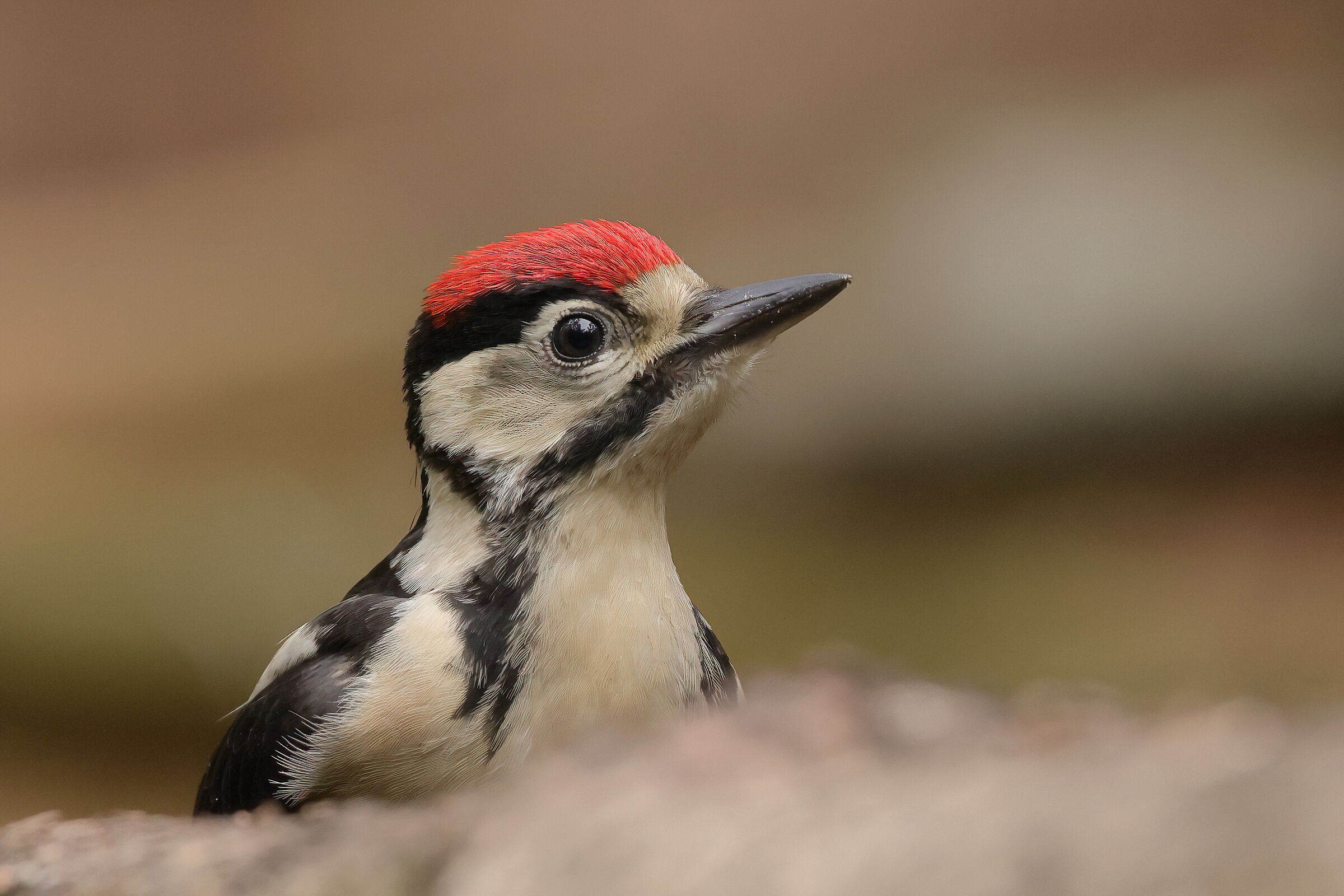 How beautiful is youth....