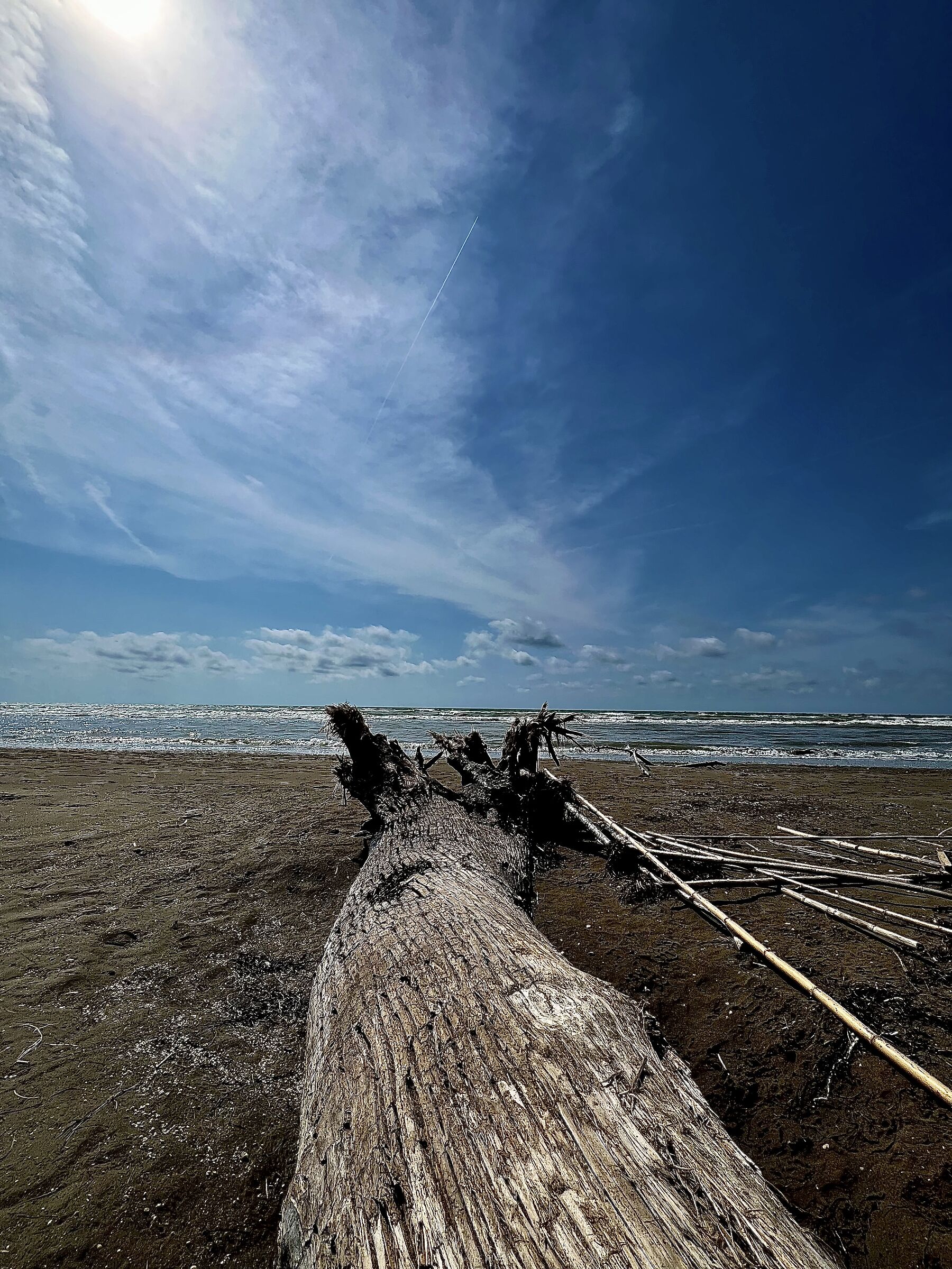 Prova iPhone 13 pro Max