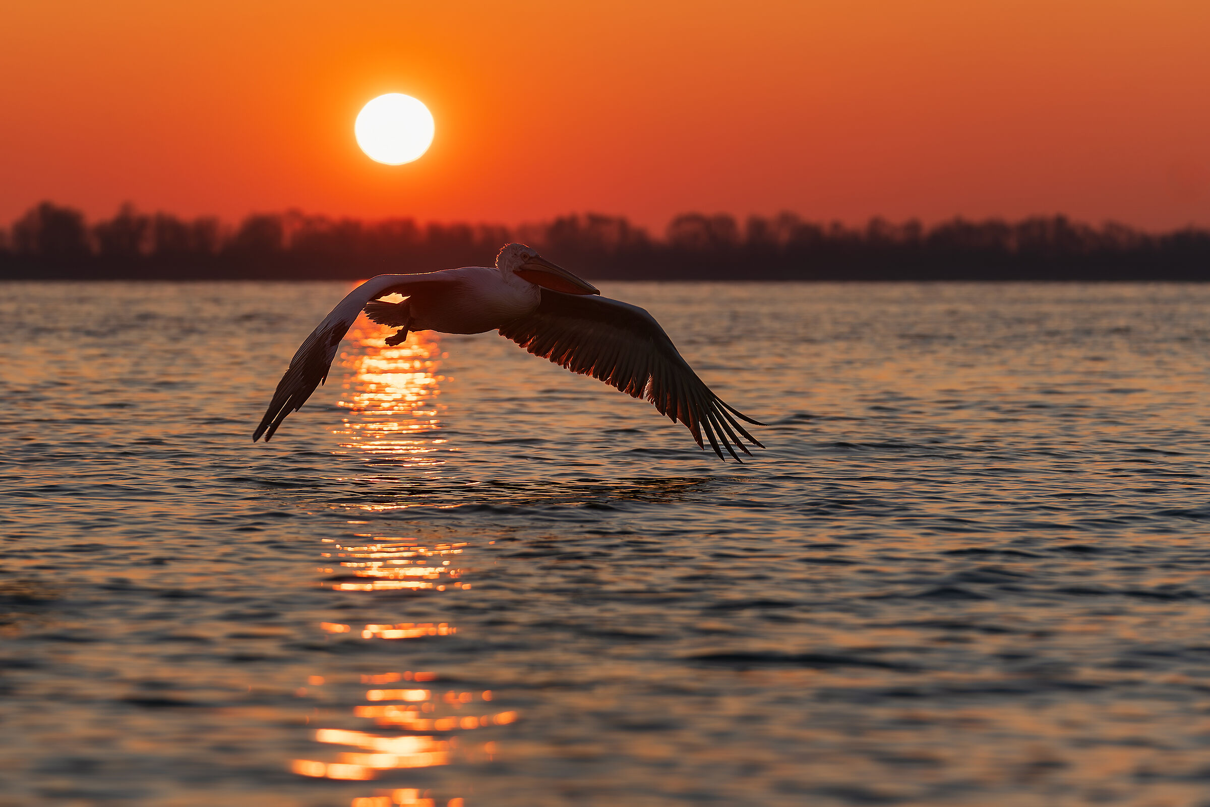 Primi voli all'alba
