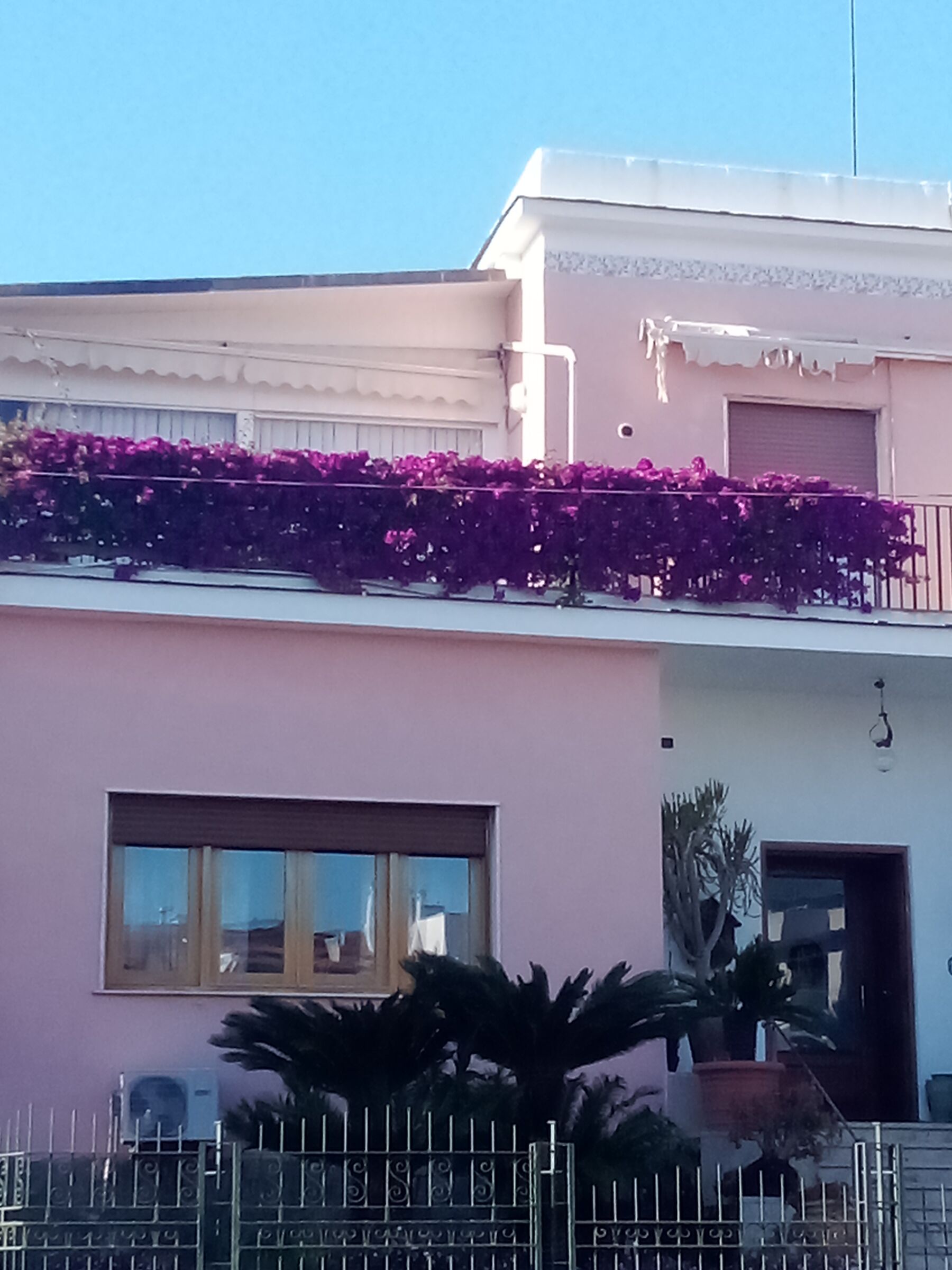 Balcony in bloom forio D'ischia.