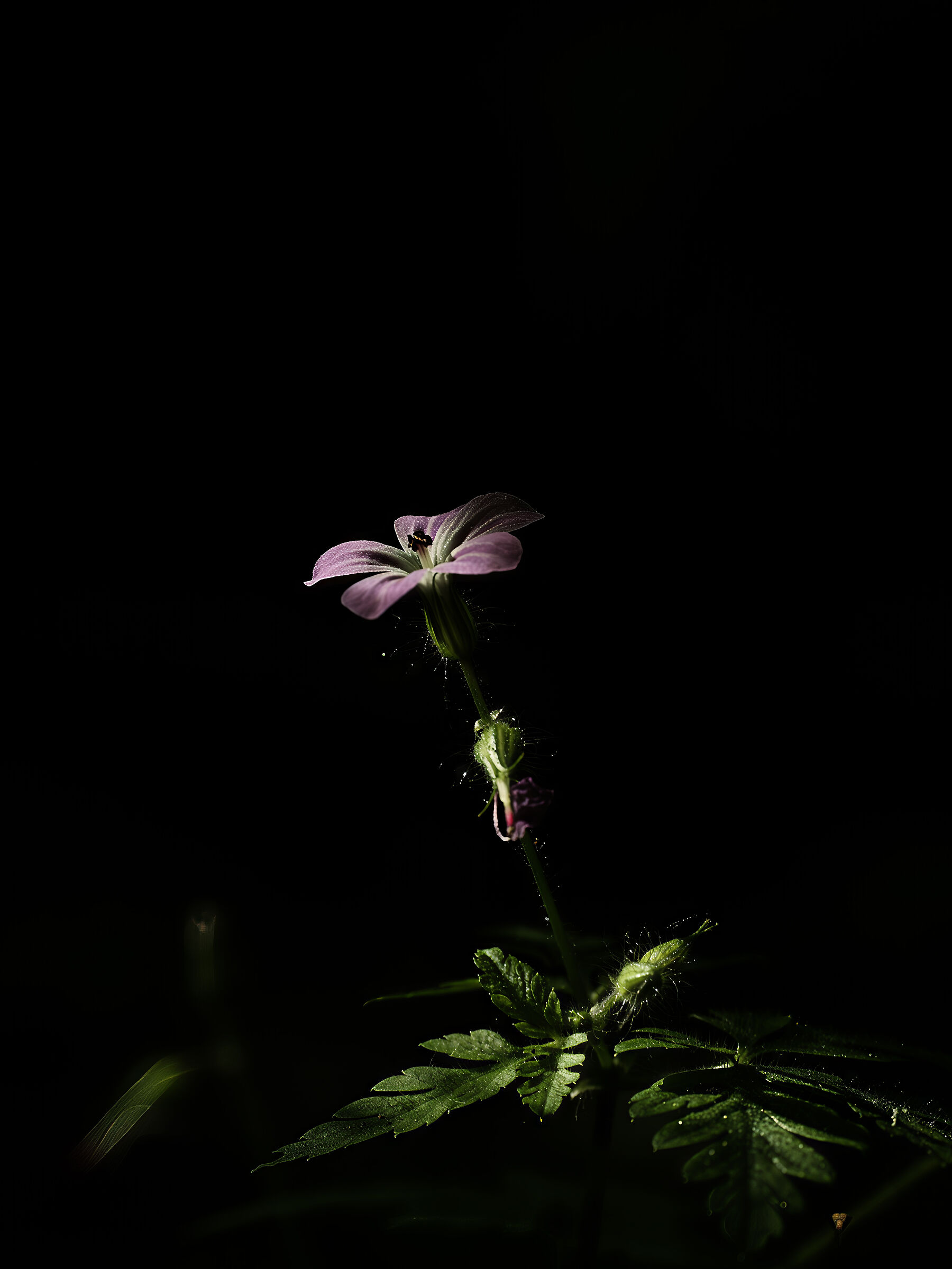 Untitled Photo