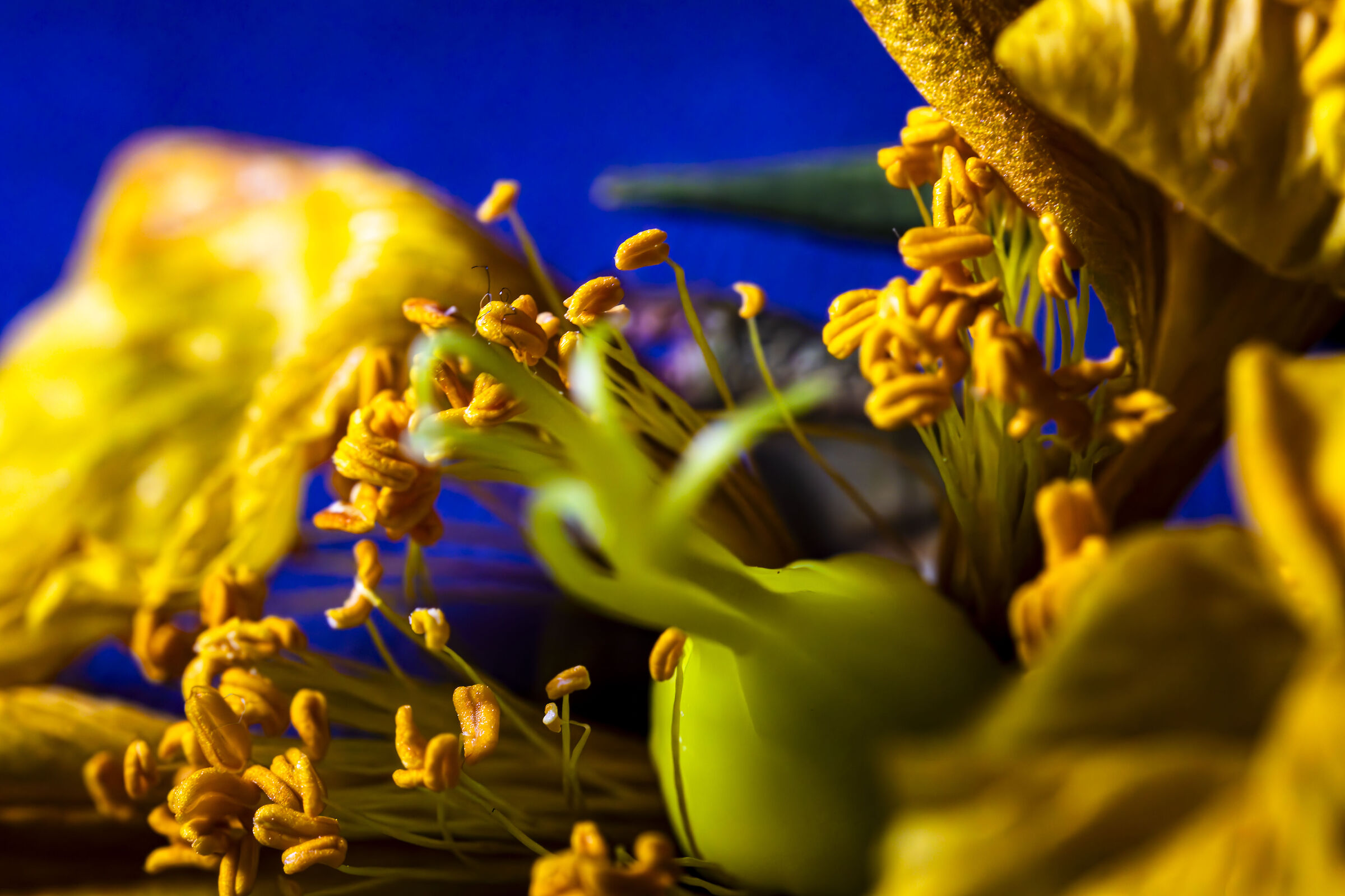 First steps in the small