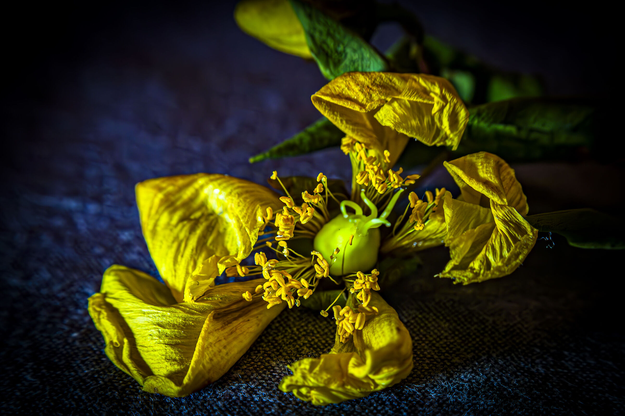 First steps in the small