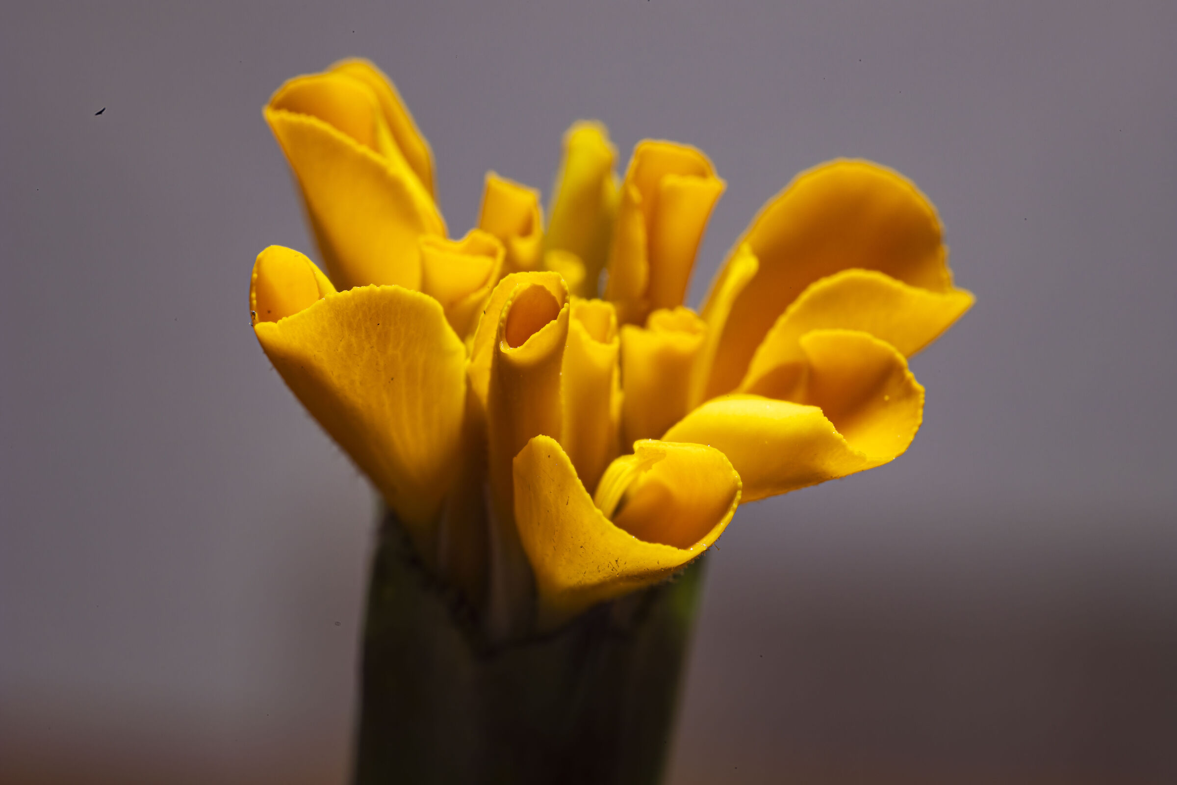 First steps in the small