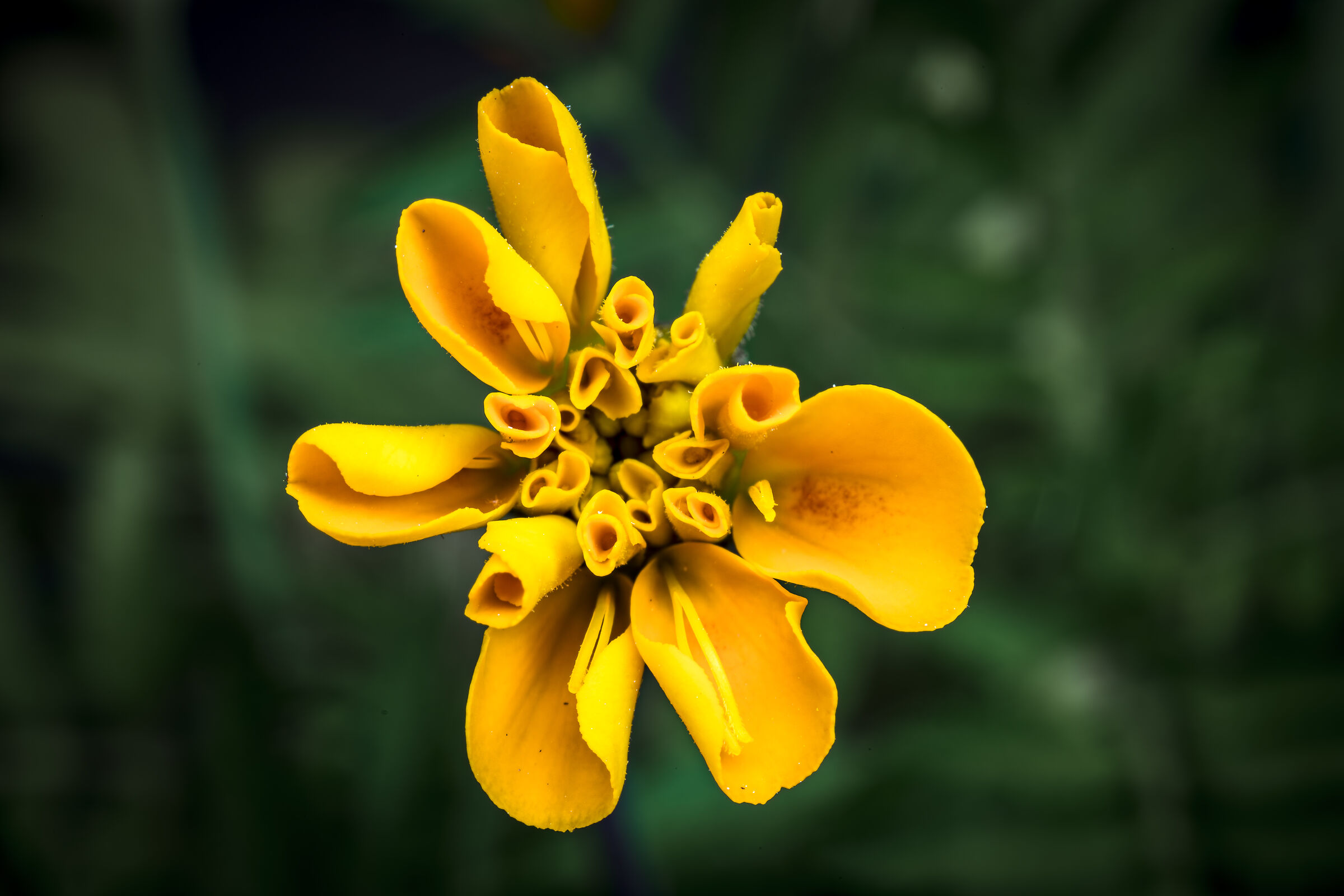 First steps in the small