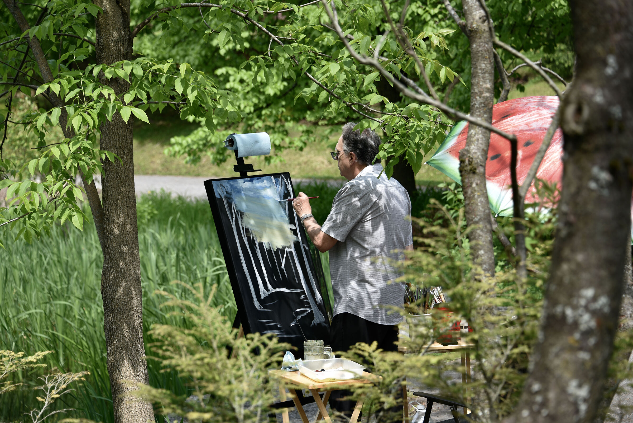 Dipingere per piacere in un parco - Quebec City