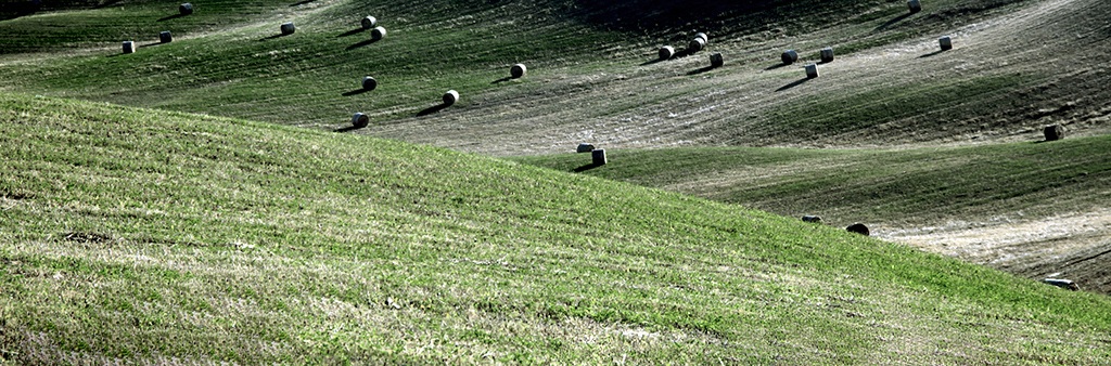 Val d'Orcia 4