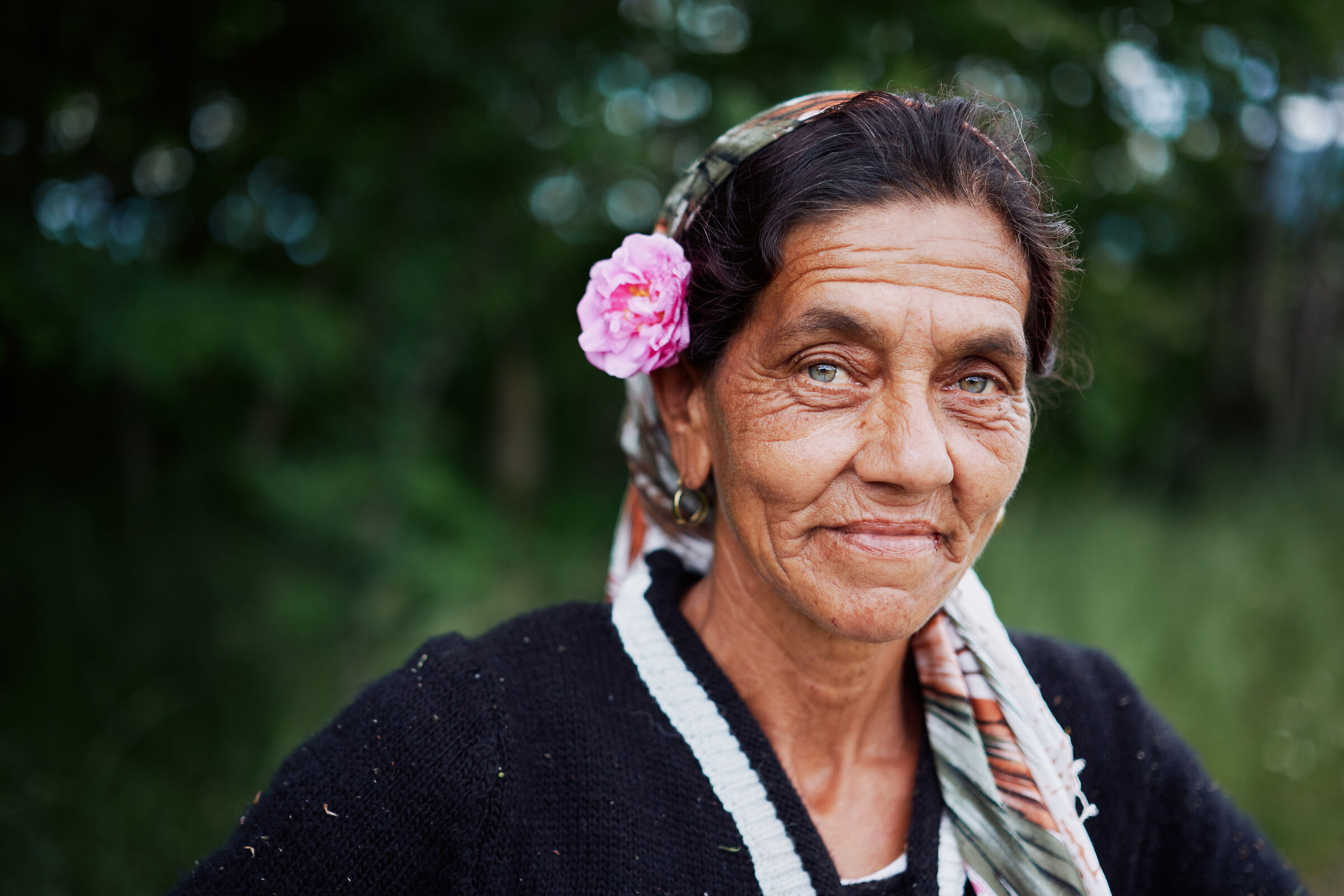 Portrait of Roma woman in the field of roses, Bulgaria