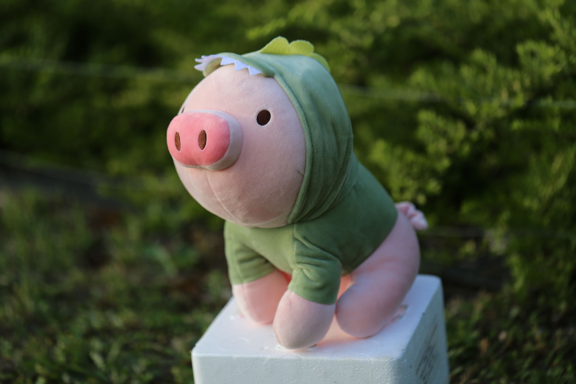 T-Pig