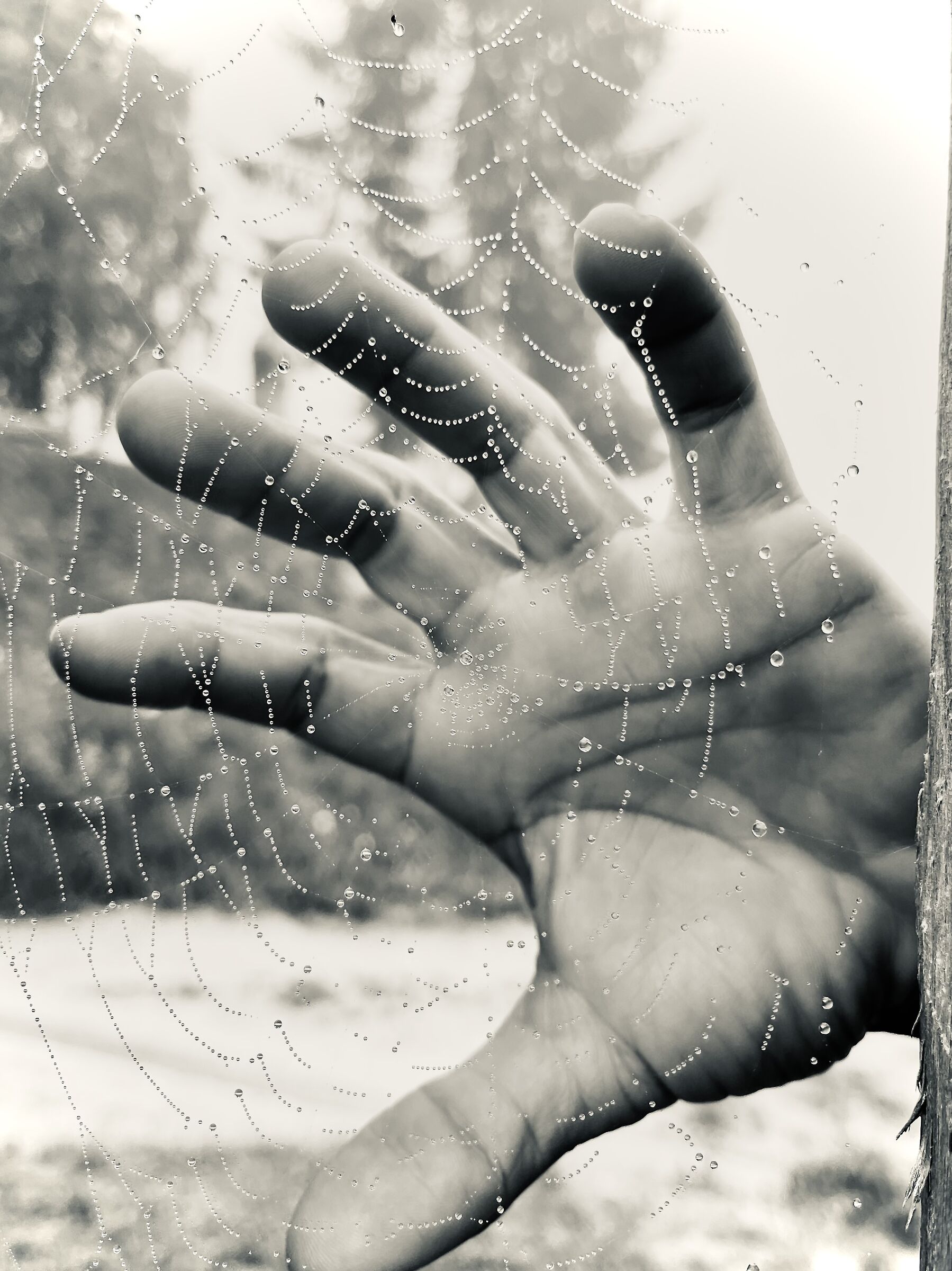 Il tuo potere dura fino a quando finisce la mia paura