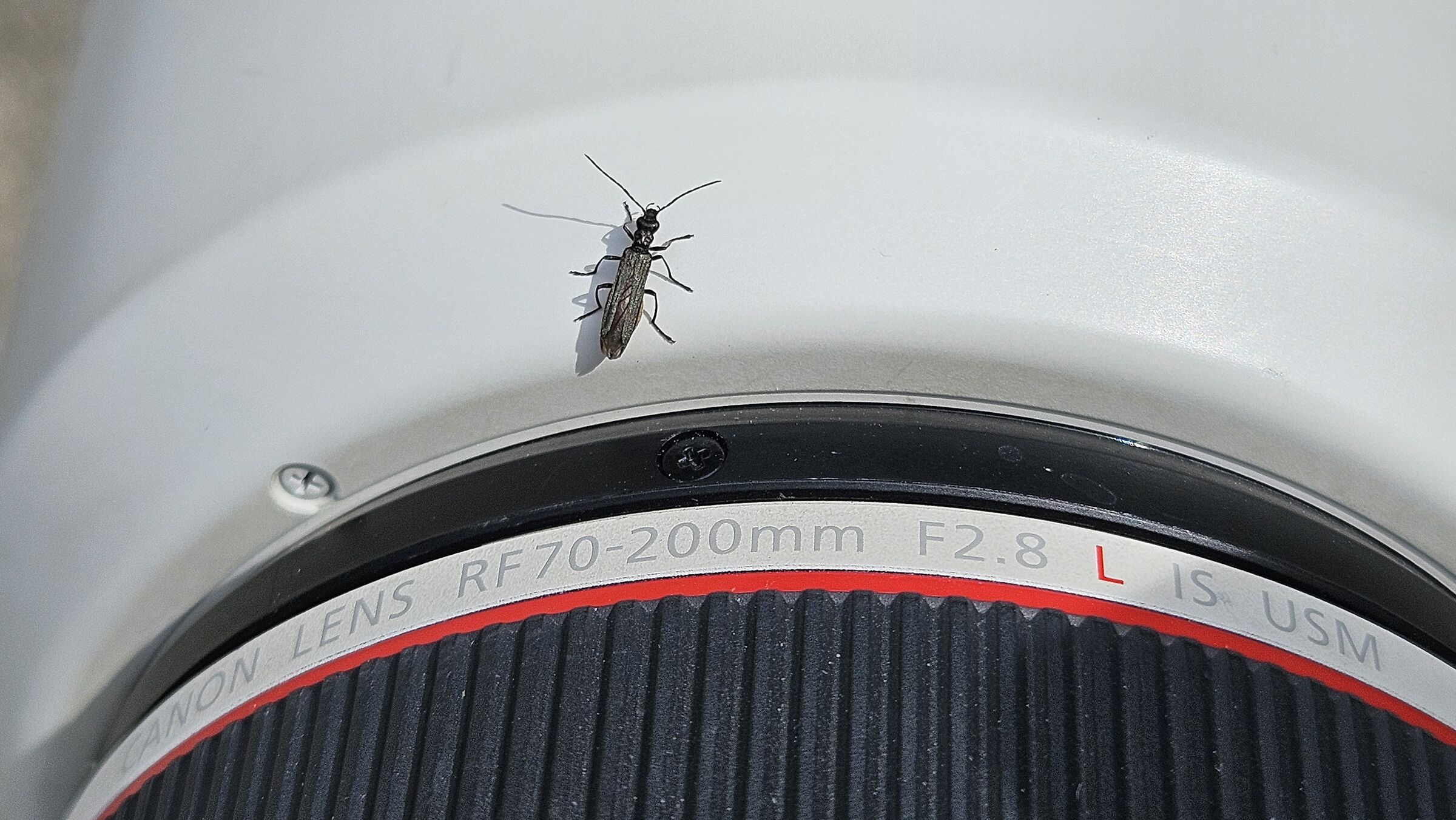 Contatto per recensione?