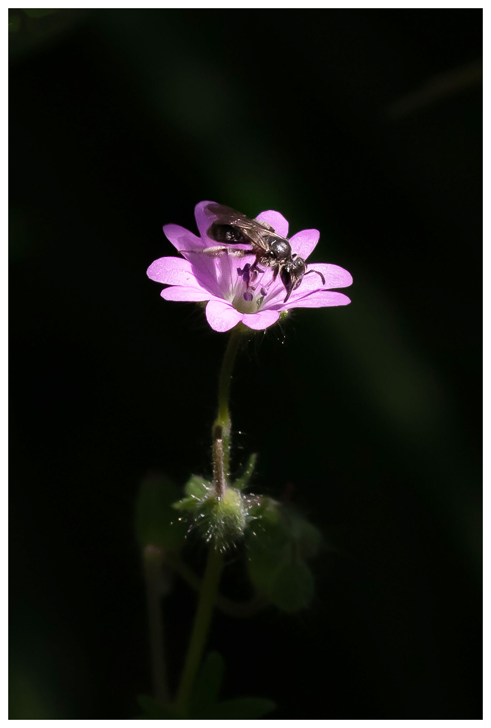 The world of children...