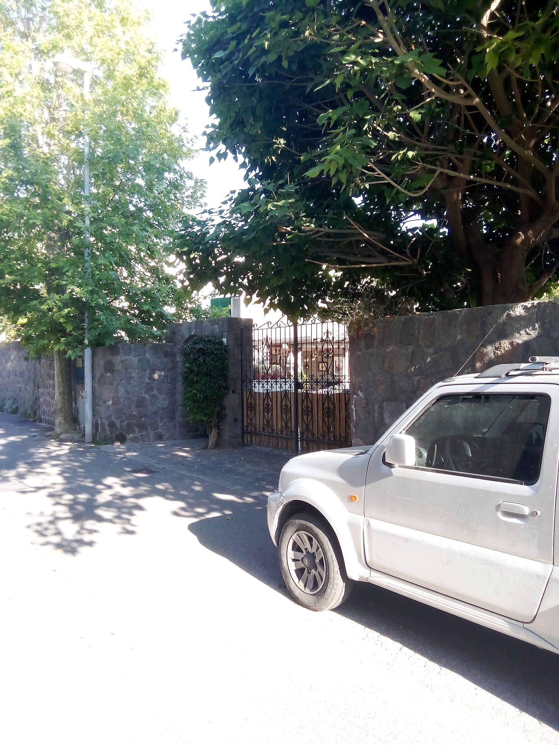Forio, an avenue of plane trees.