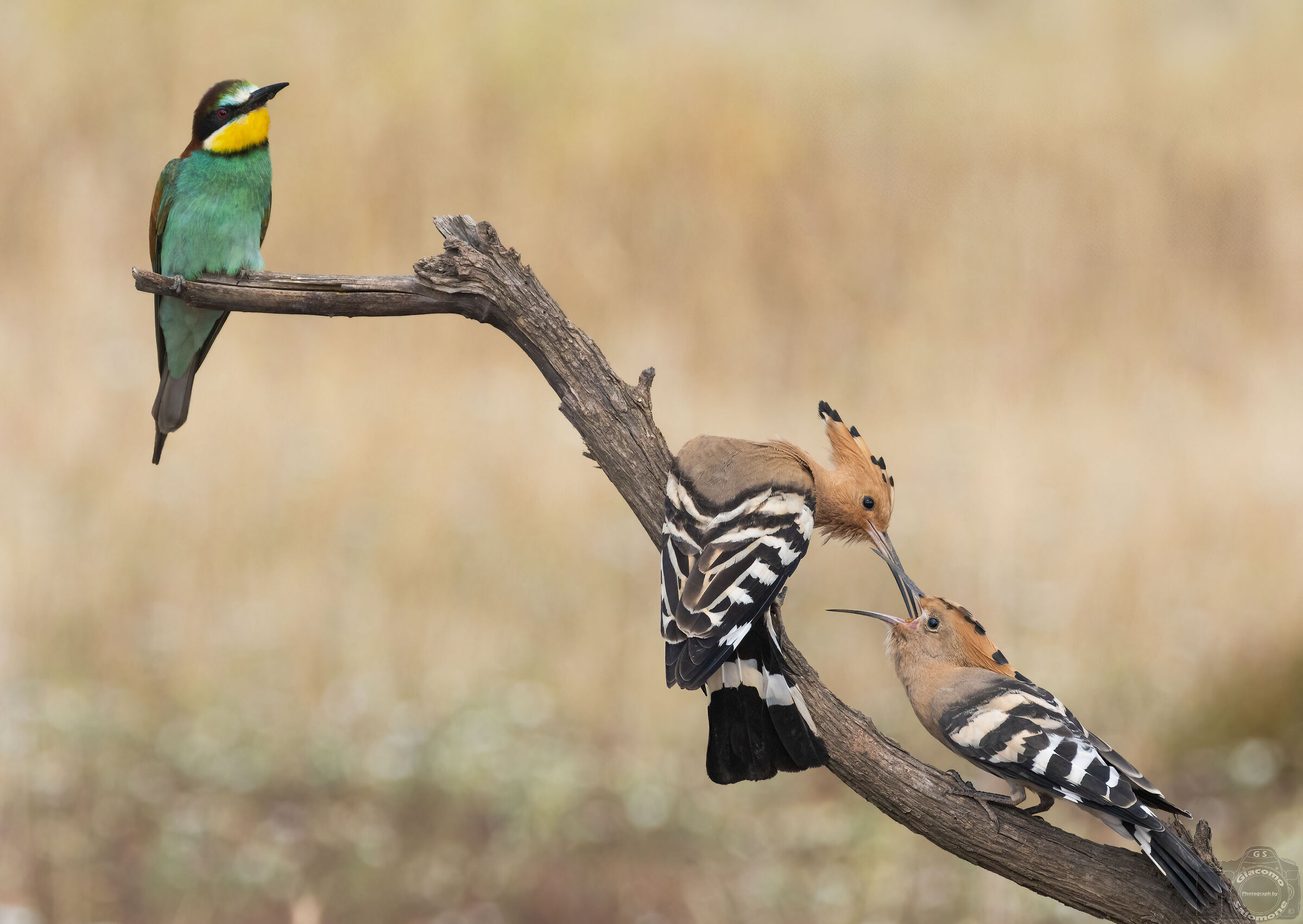 You still get caught at your age?!?!